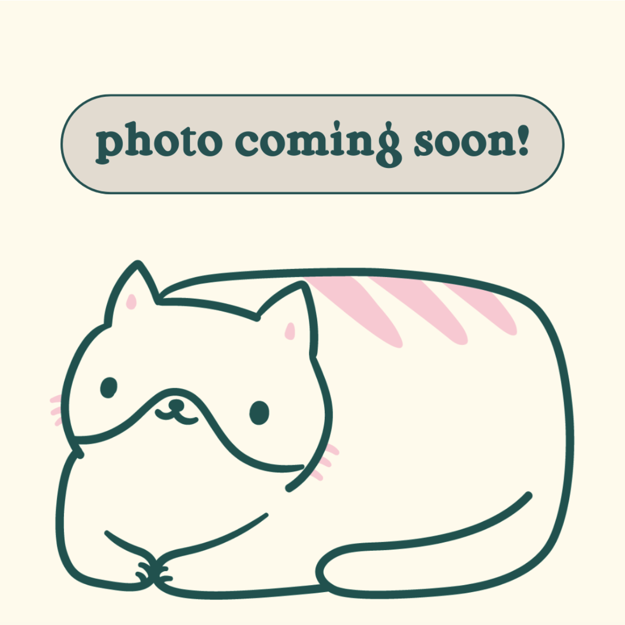 Cranberry and Pistachio Bostock