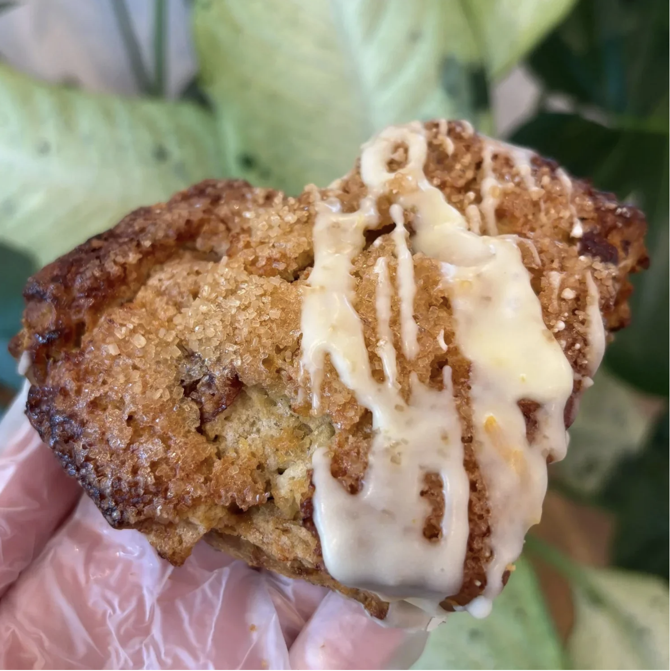 Gluten Free Cranberry Orange Scone
