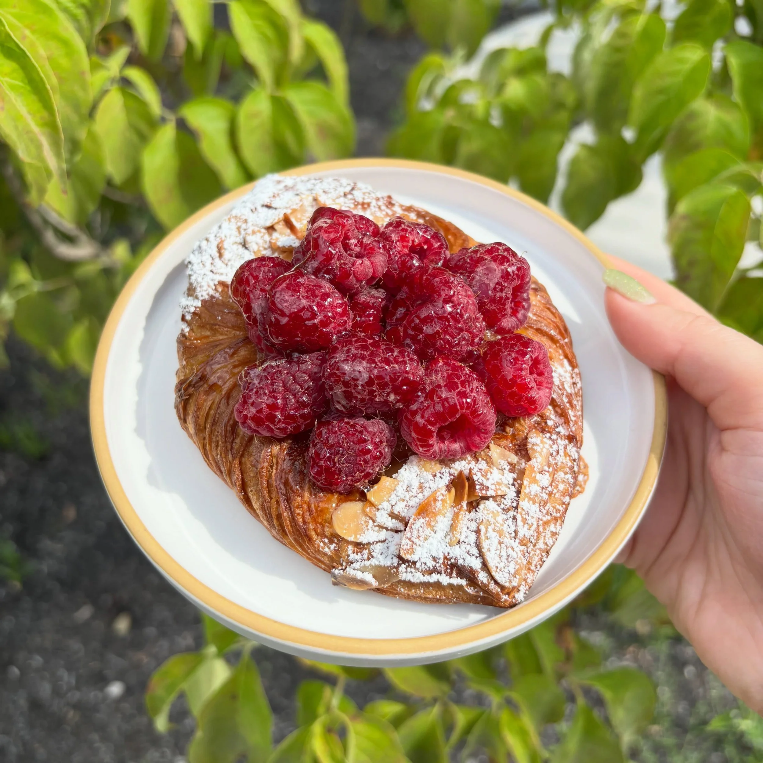 Local Raspberry & Apricot Marmalade Danish