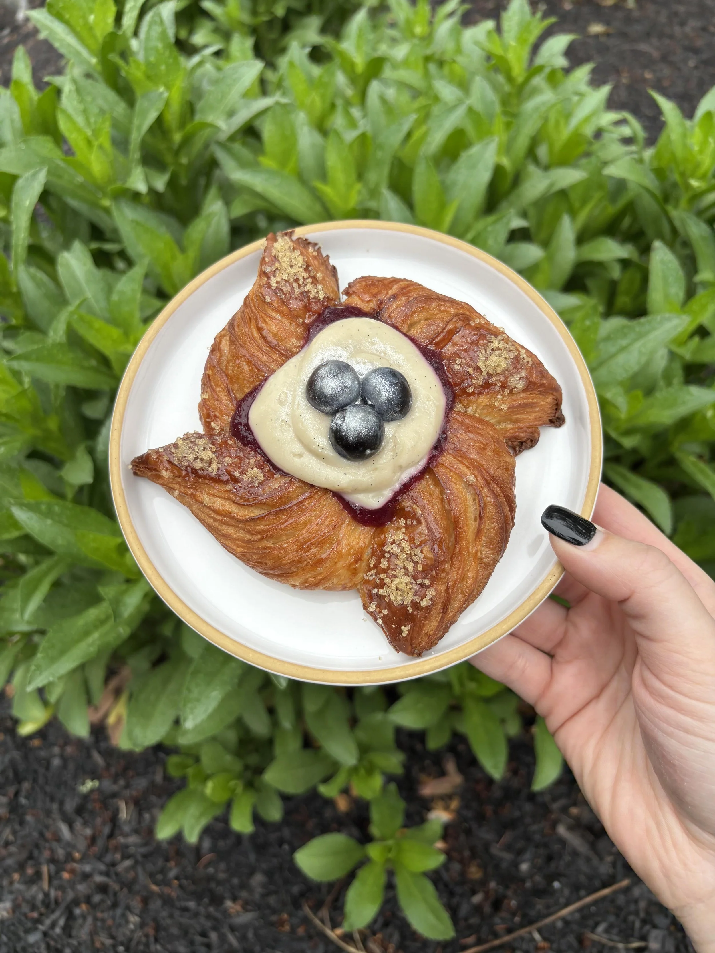 Blueberry Rhubarb Cheesecake Pinwheel