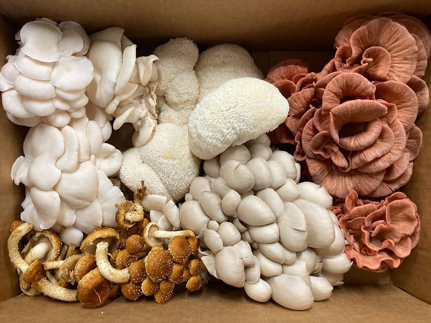 Chef&rsquo;s mix for our new friends at @bedford_234 🍄 🔥