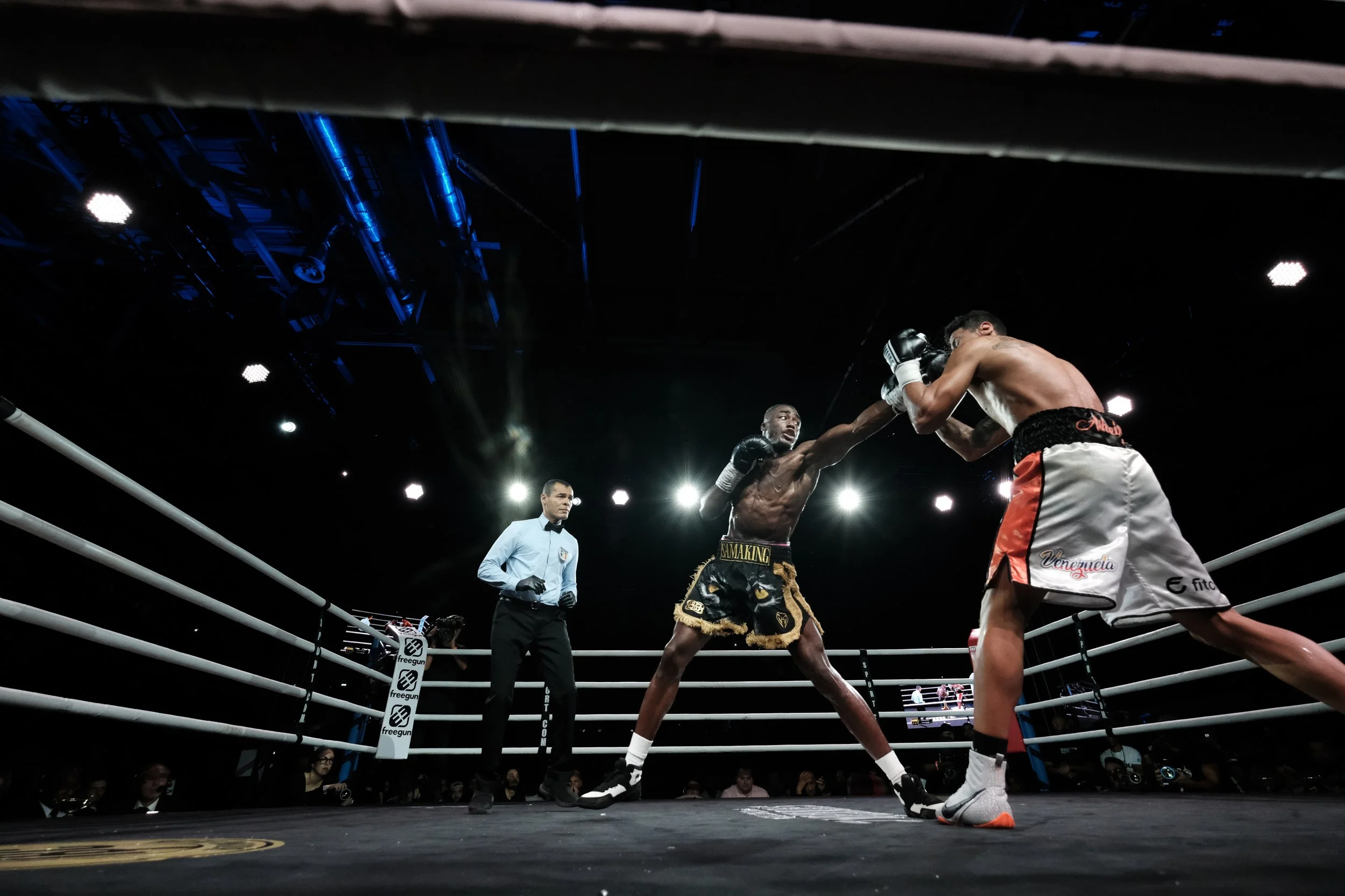 LSC-Gala Boxe Samake-54.jpg
