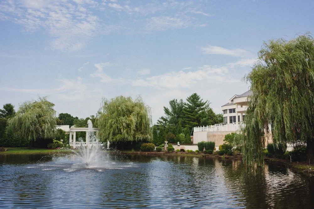 Fountain and willow trees