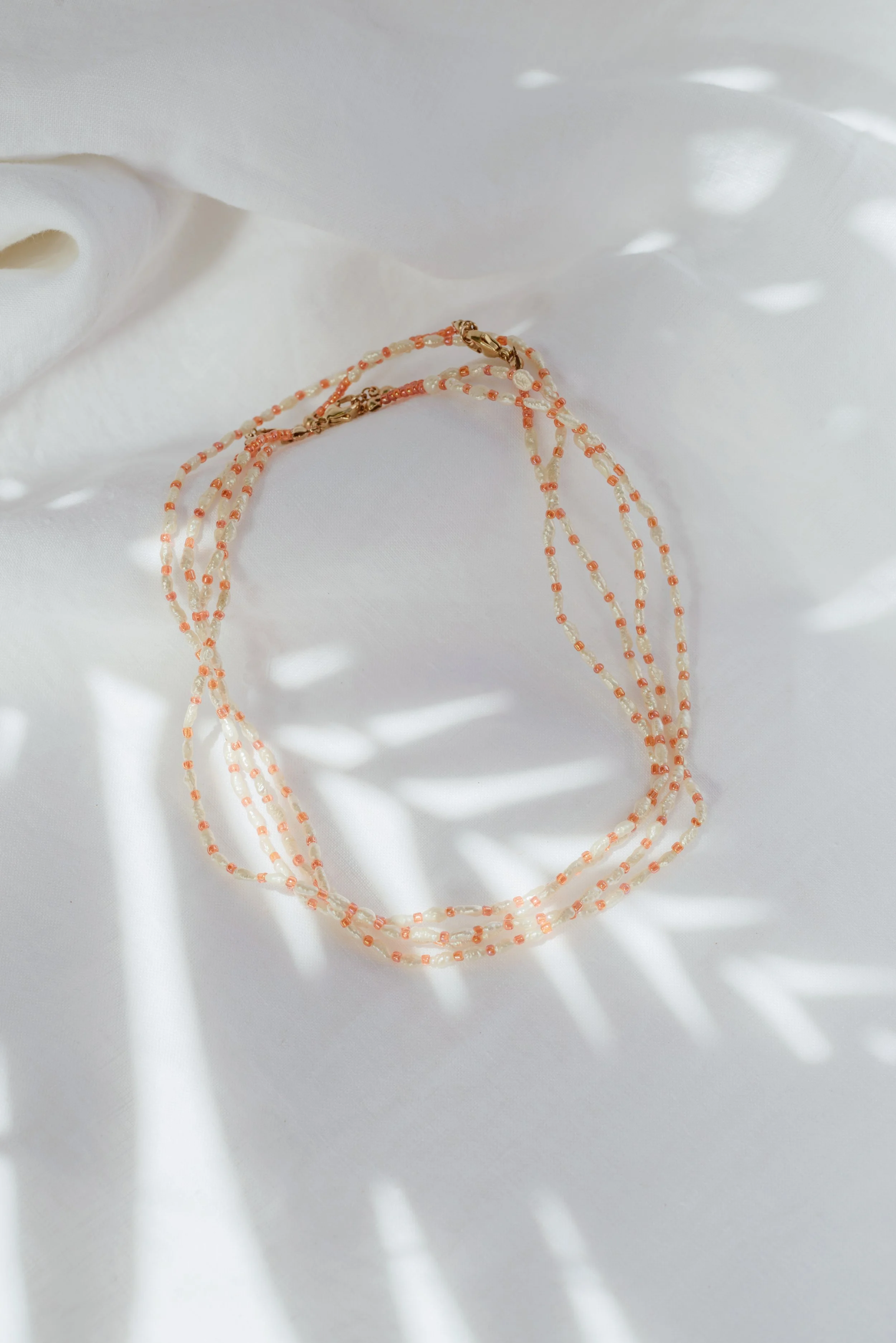 Sunkissed Collab palm-1775.jpg
