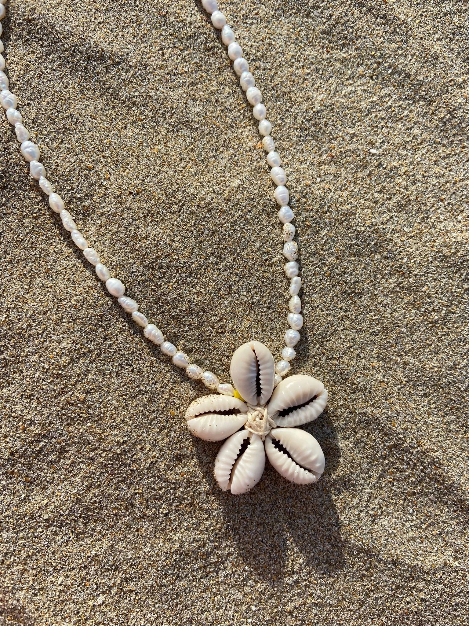 WhatsApp Image 2026-02-19 at 09.50.53 (1).jpeg