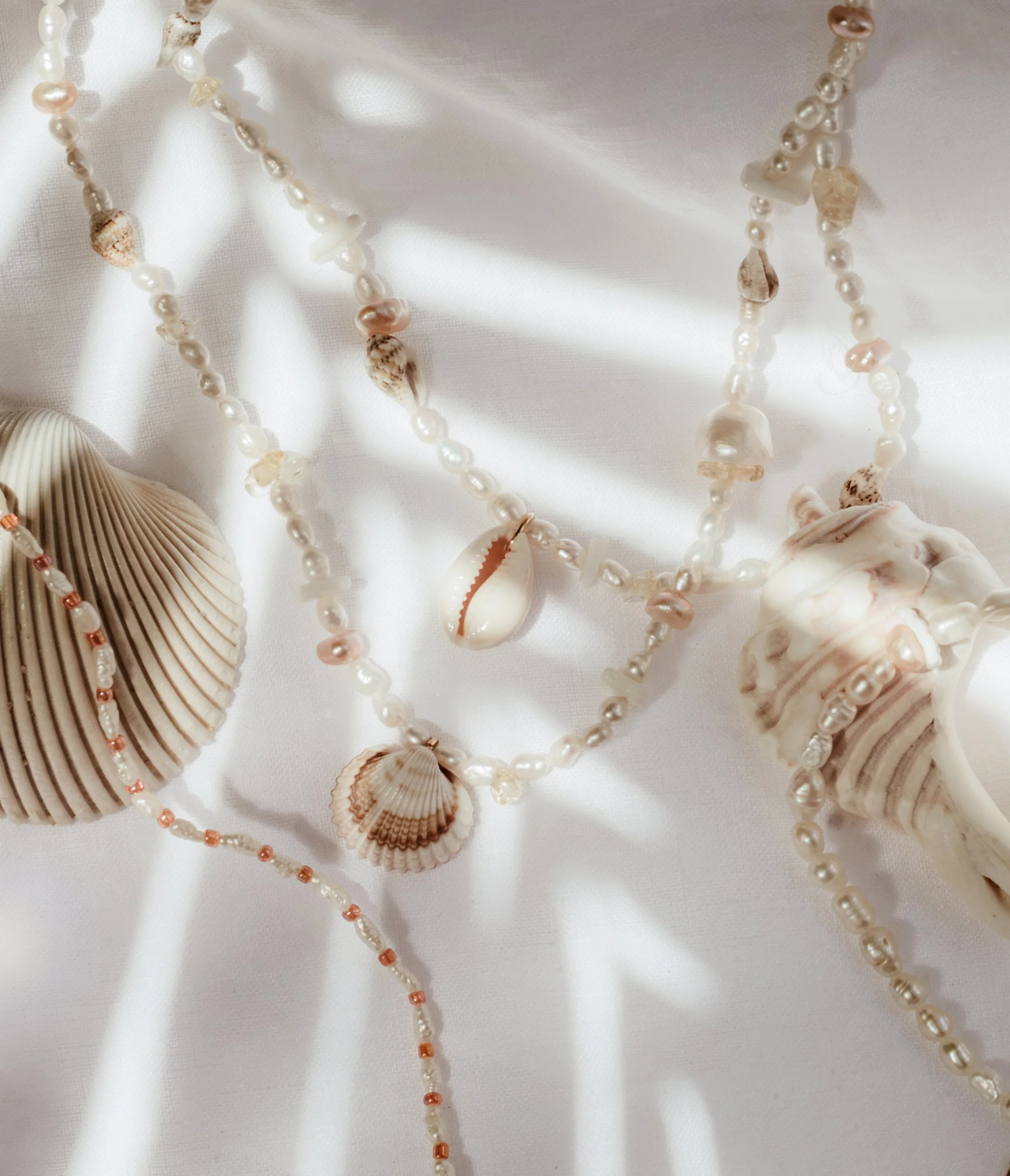 Sunkissed Collab palm-1833-3.jpg