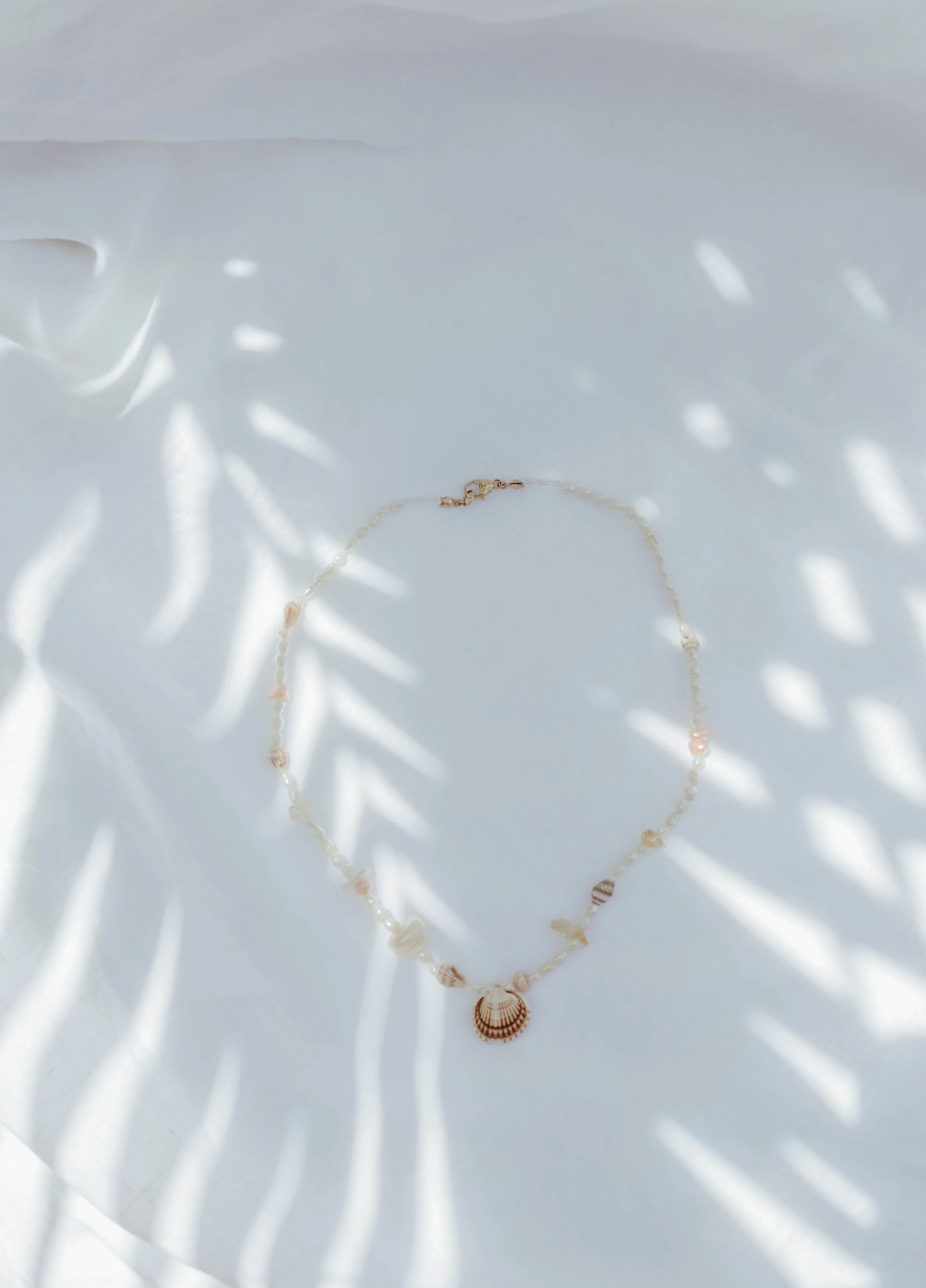 Sunkissed Collab palm-1669.jpg