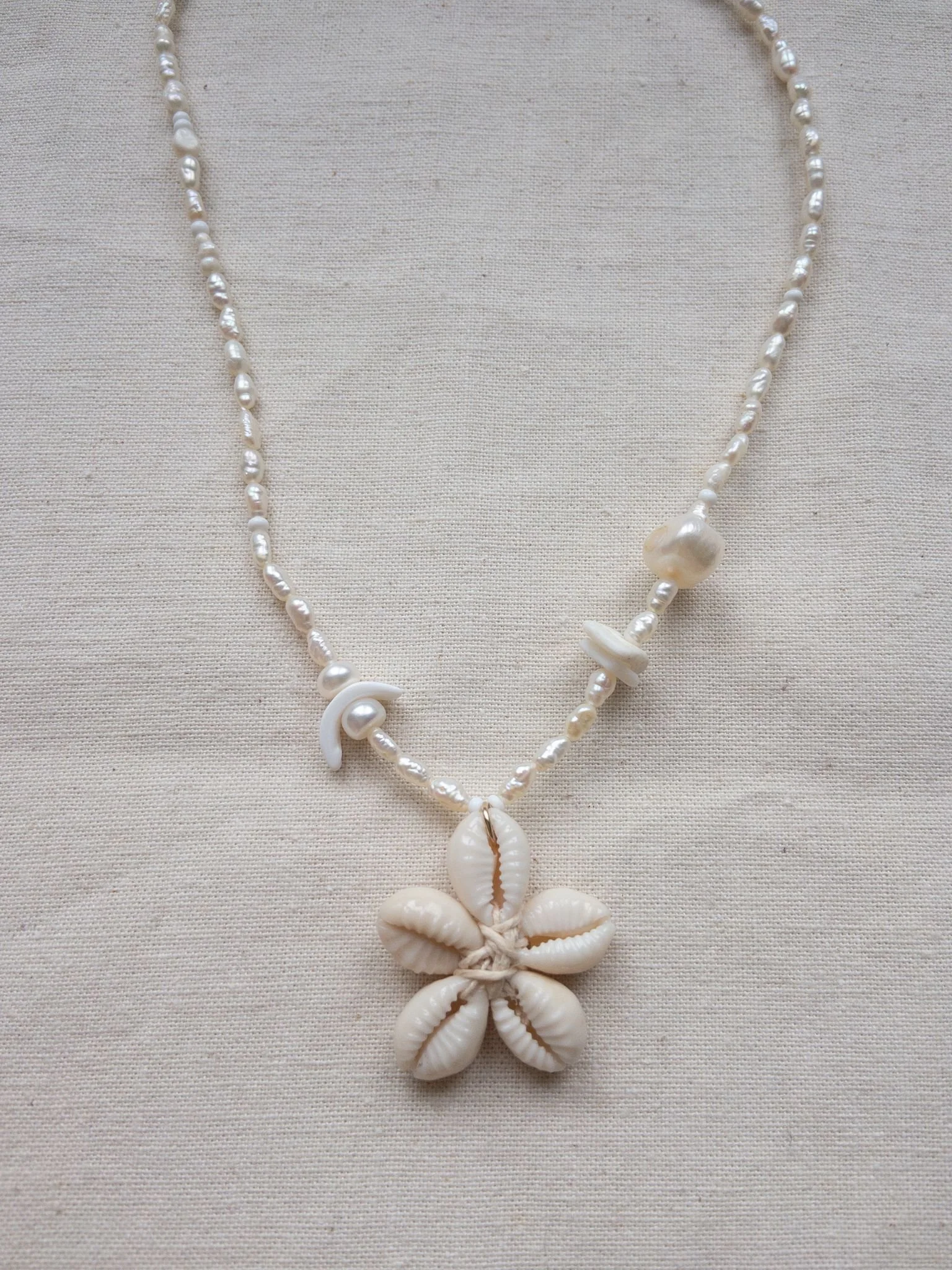 WhatsApp Image 2026-02-19 at 09.50.53.jpeg