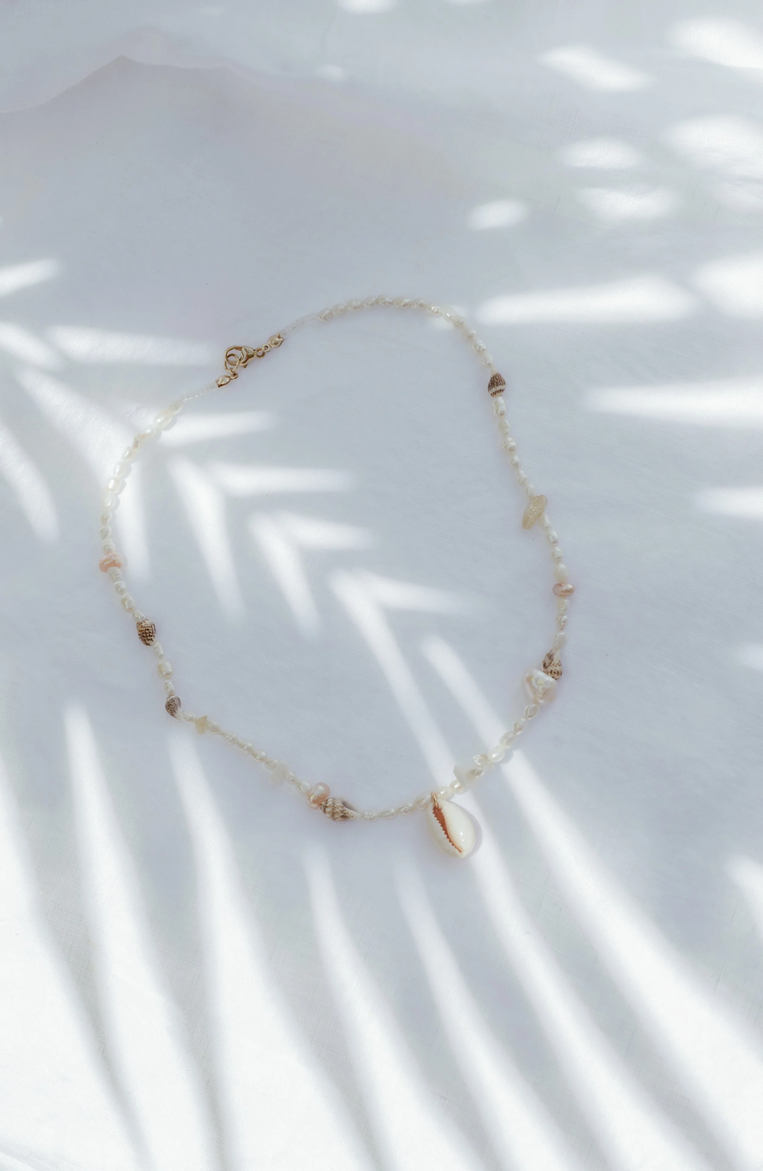Sunkissed Collab palm-1699.jpg