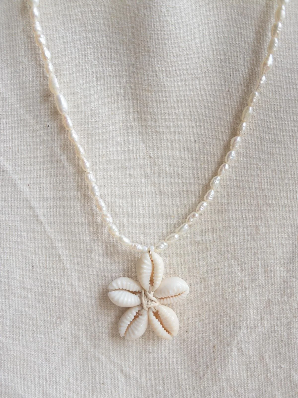 WhatsApp Image 2026-02-18 at 18.23.19.jpeg