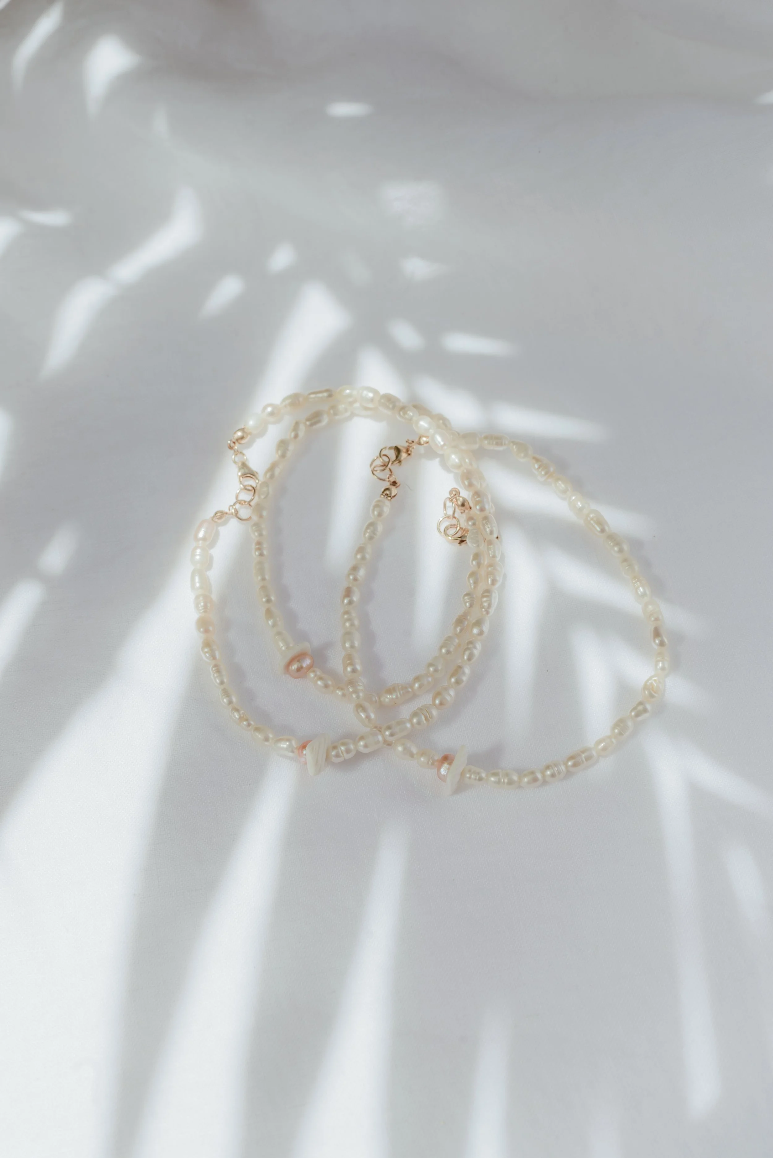 Sunkissed Collab palm-1741.jpg