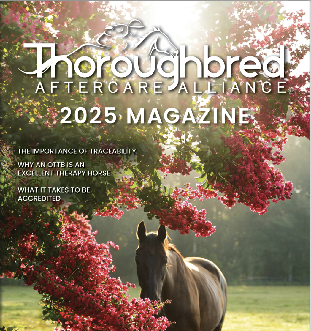 Screenshot 2025-02-20 at 10.32.37 PM.png