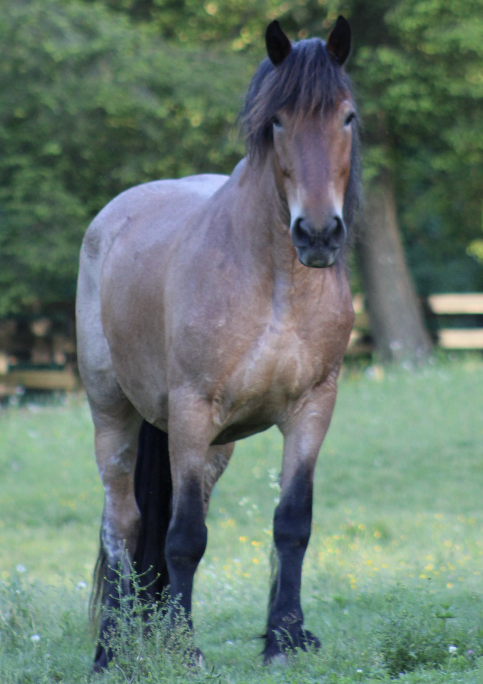 Screenshot 2025-02-20 at 10.51.19 PM.png