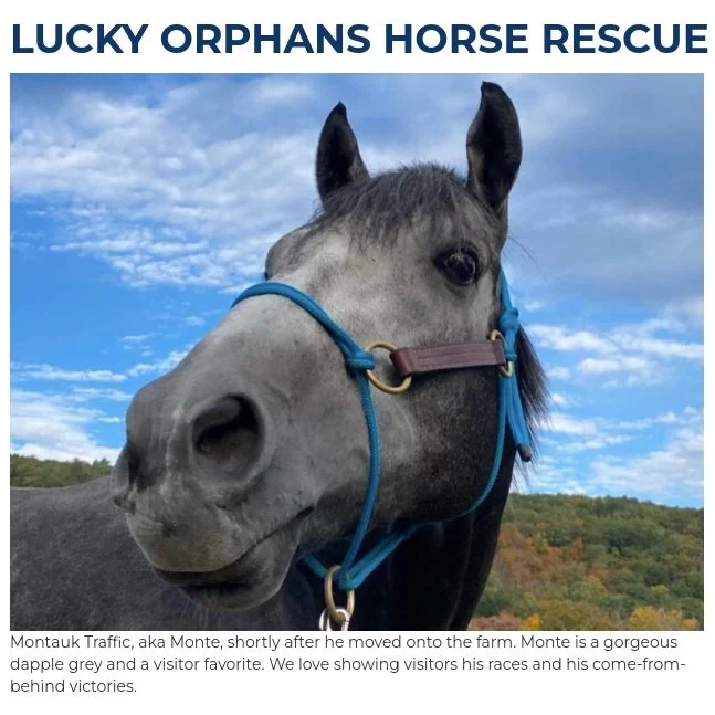 Screenshot 2023-07-05 10.01.30 AM.jpg