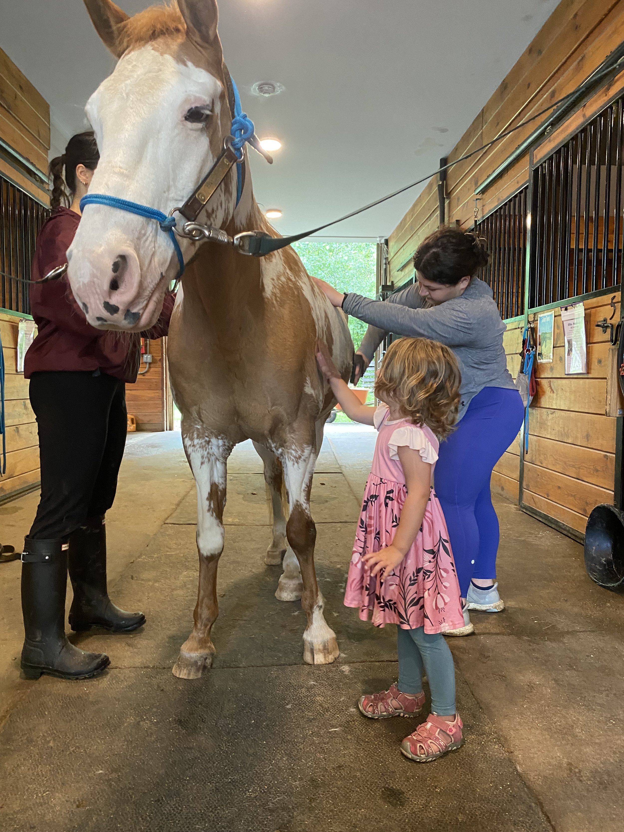 Volunteer Training with a visitor.jpeg