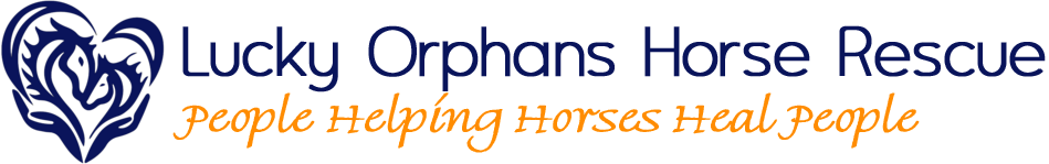 Lucky Orphans Horse Rescue