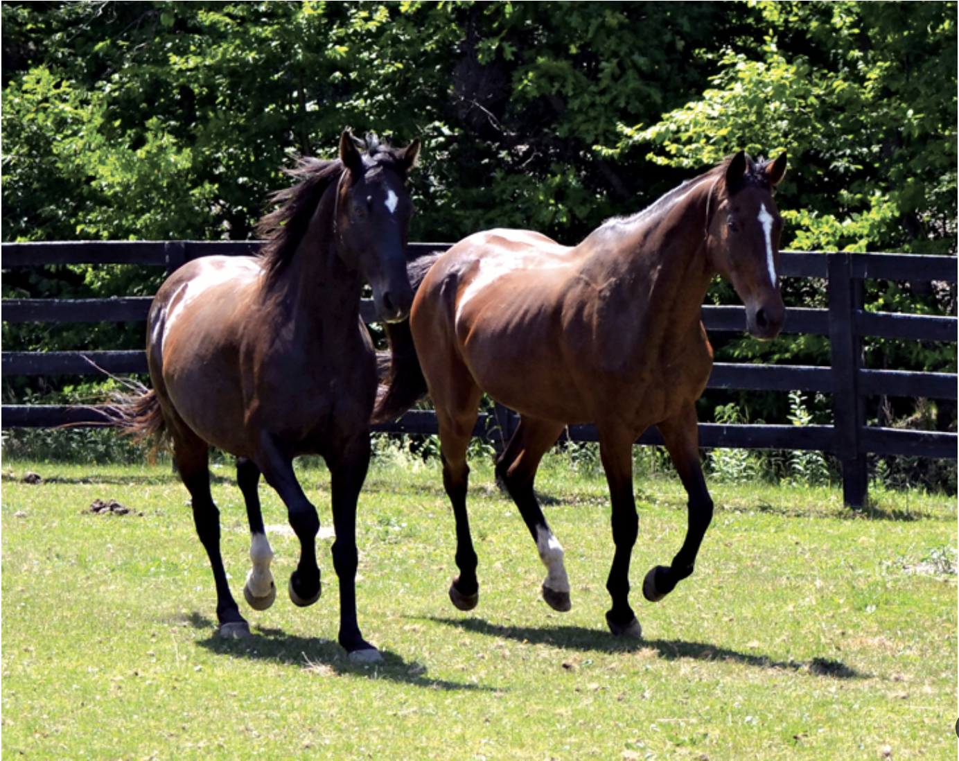 Screenshot 2024-03-04 at 10.18.27 PM.png