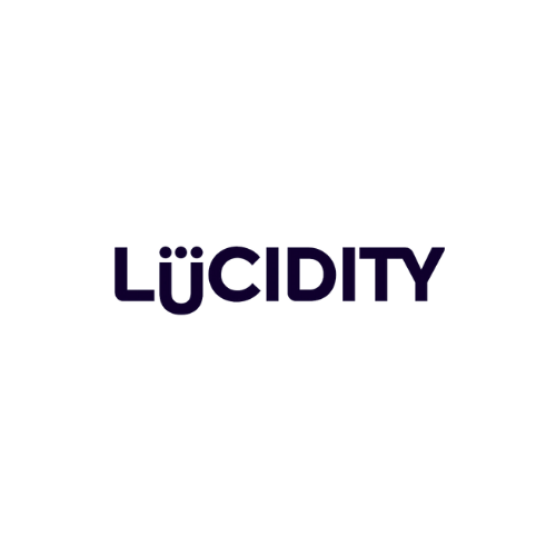  Lucidity 
 
A strategy platform used by organisations to build and execute corporate plans