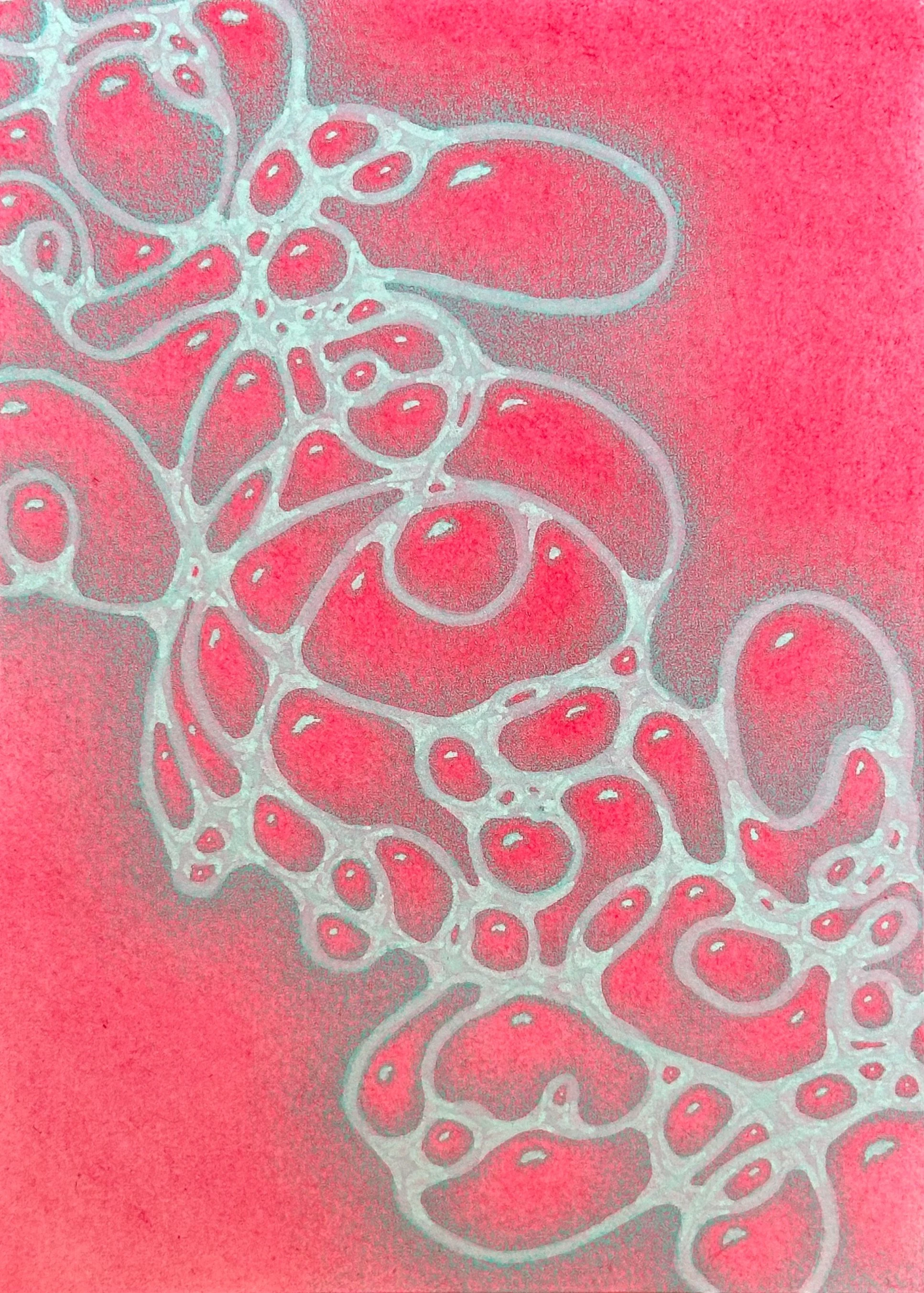 E522688F-4526-4EC3-A99D-245FD08C4860.JPEG