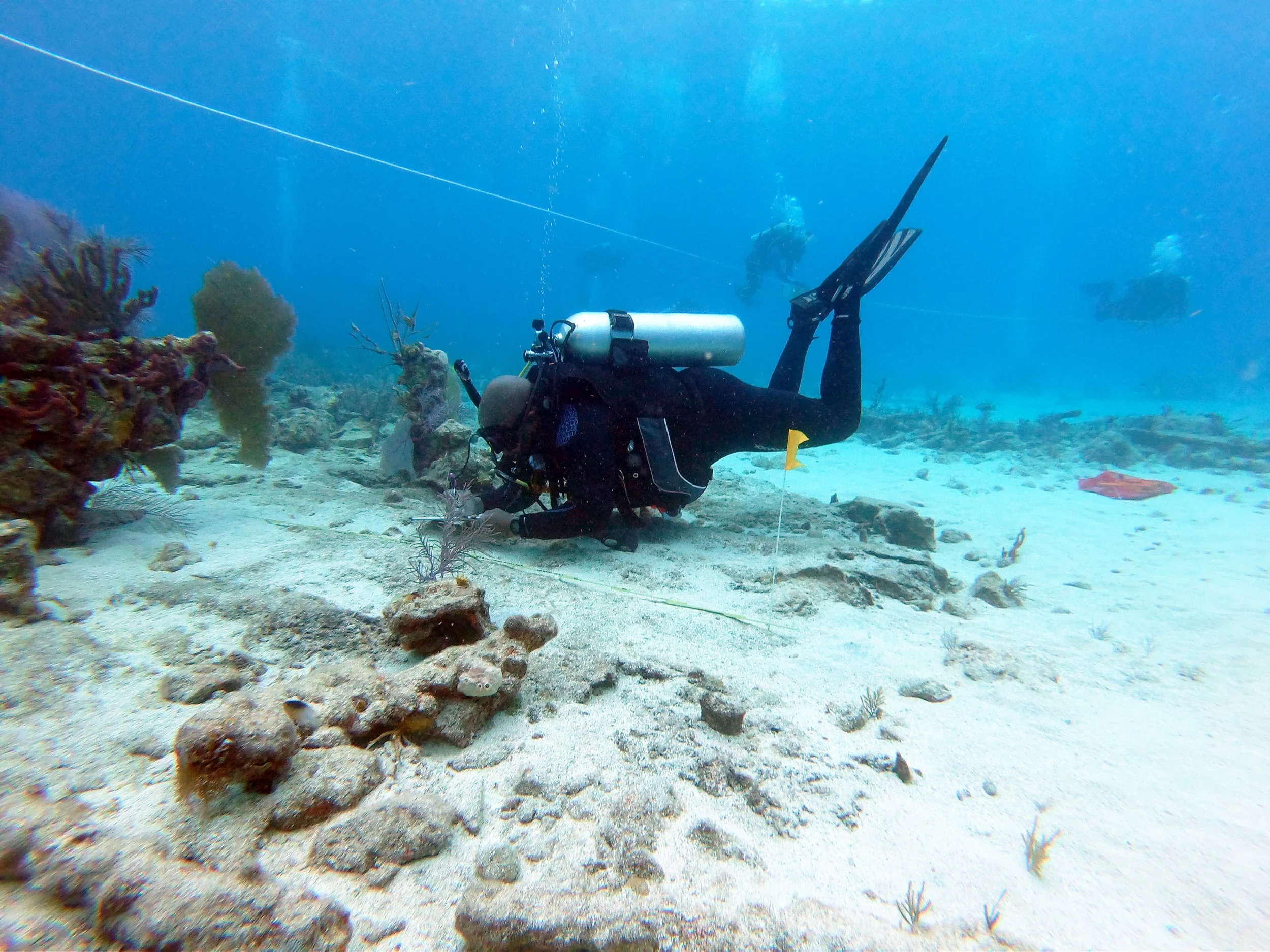 Diving With a Purpose: My Journey to Dive Clotilda