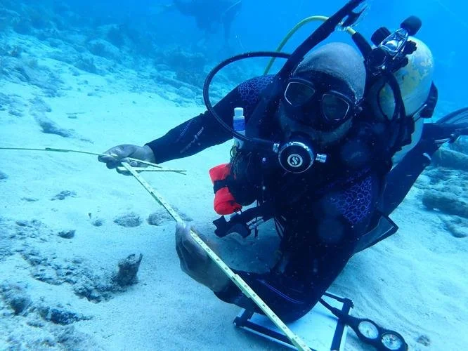 Jeremy Ellis developing an in-situ drawing of an artifact on the porter Anchor wreck site on French Reef in Southern Florida. 