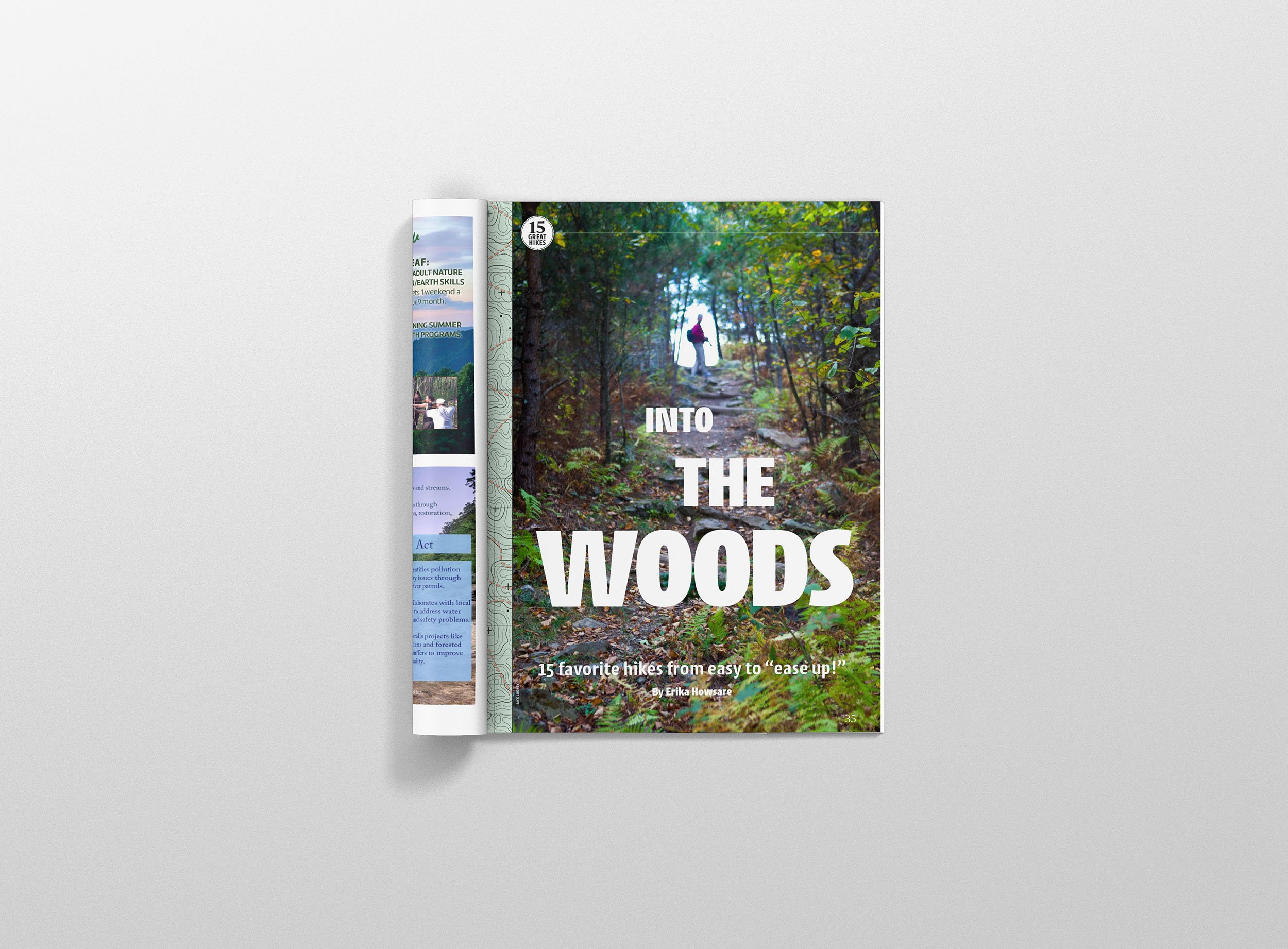 Into the woods