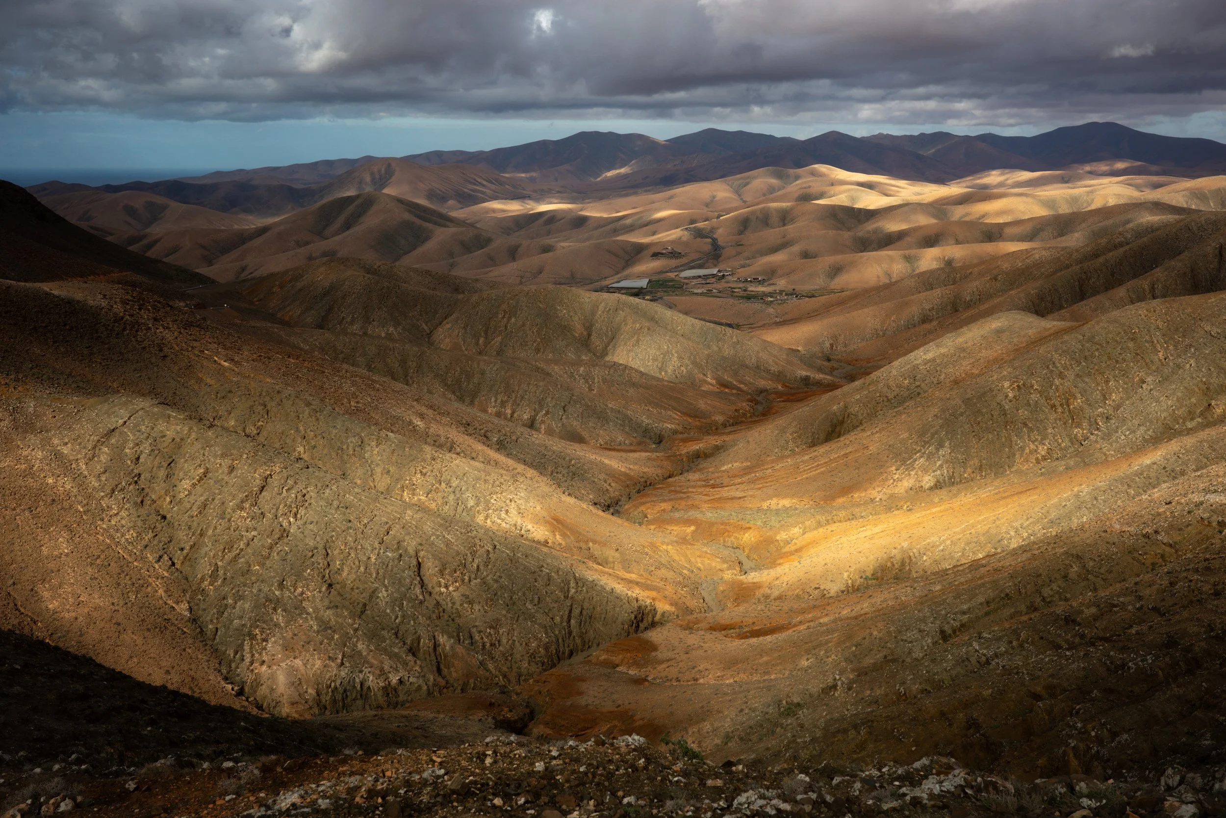 R0007695.JPG