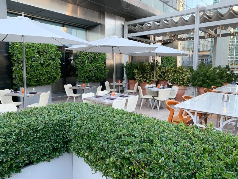 FS Miami Poolside Dining .jpeg