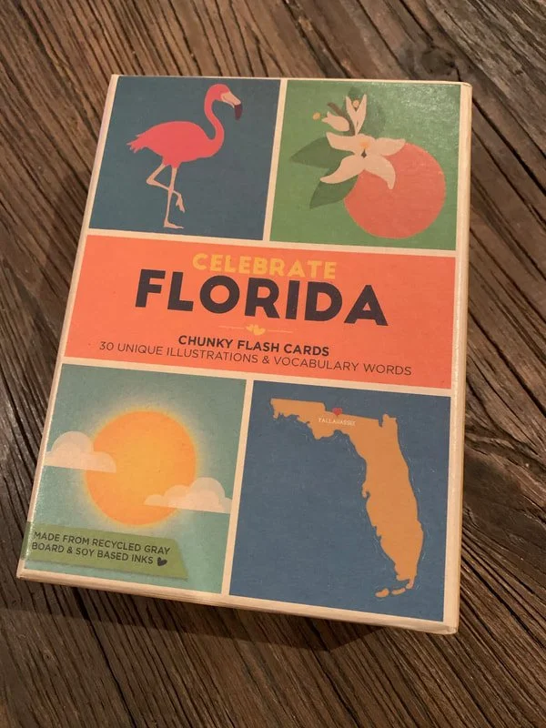 FS Miami Kids Game Gift.jpeg
