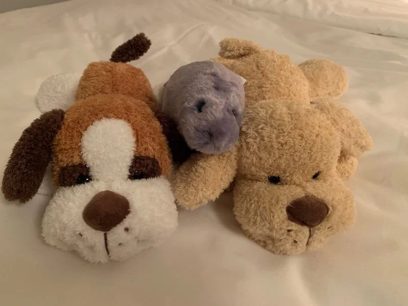 FS Miami Kids Welcome Amenities.jpeg