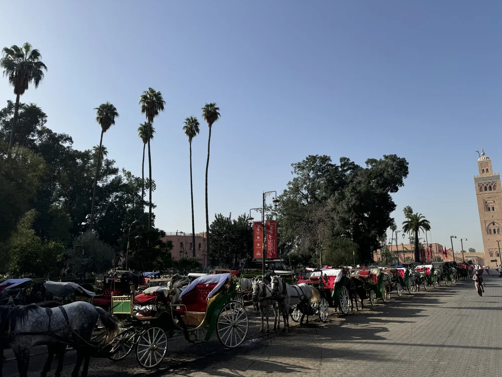 FS Marrakech - activities Medina .jpeg