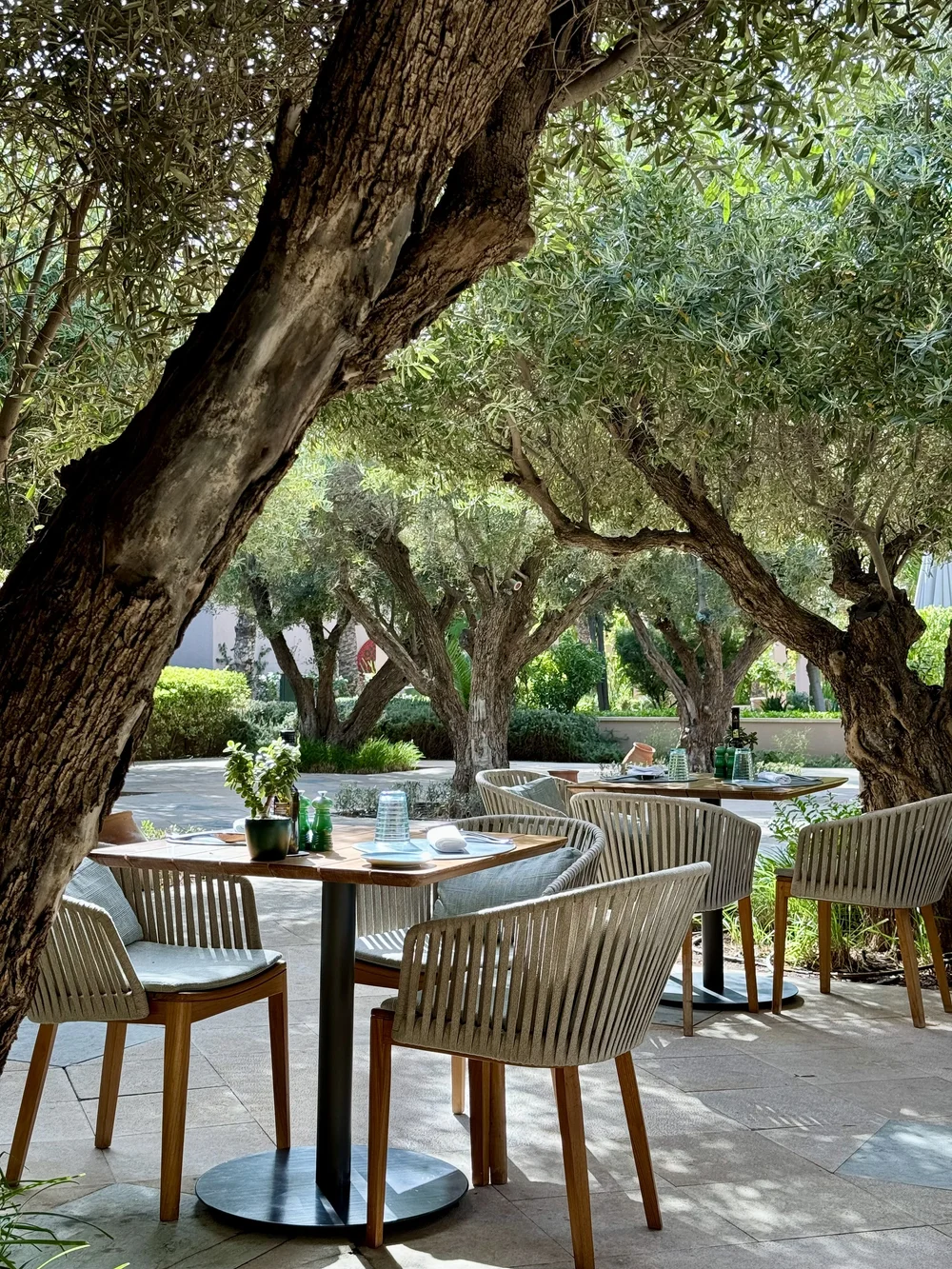 FS Marrakech - dining patio.jpeg