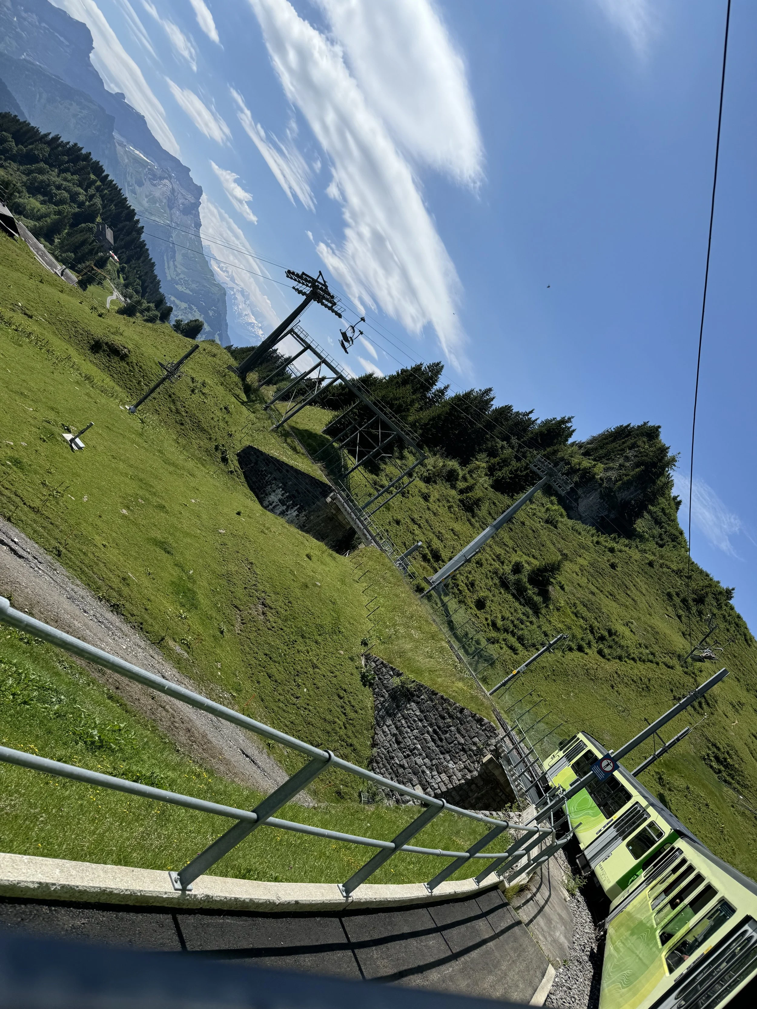 IMG_3305.jpeg