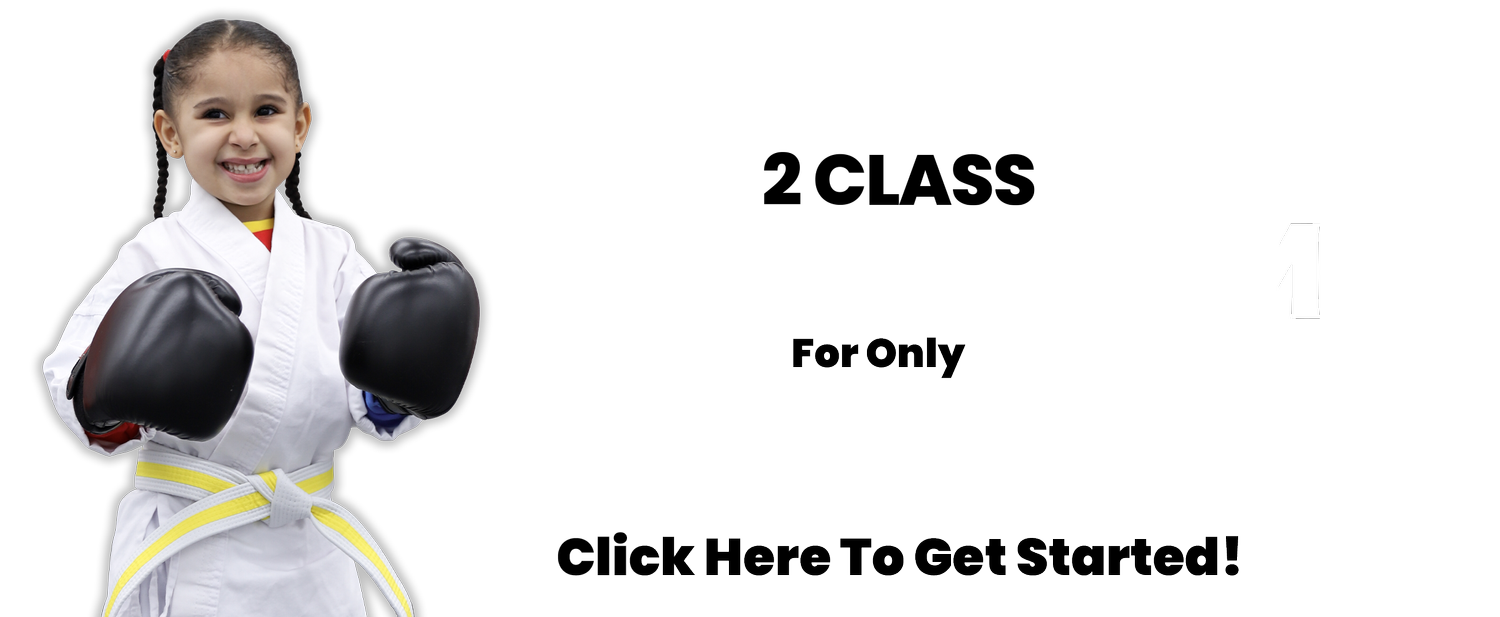 Meet Our Team — Modern Martial Arts NYC