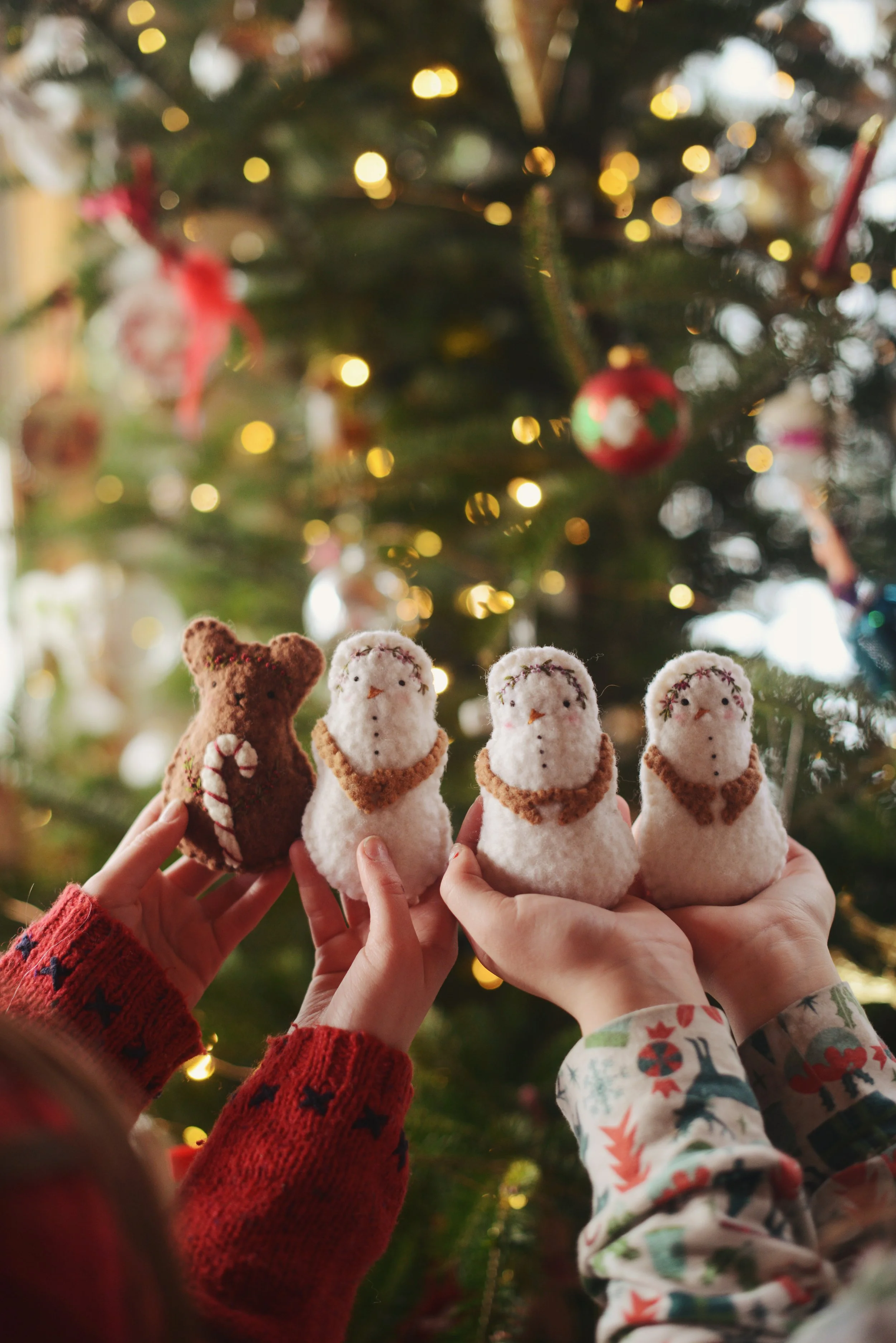 DSC_2860 copy.jpg (Copy) (Copy)