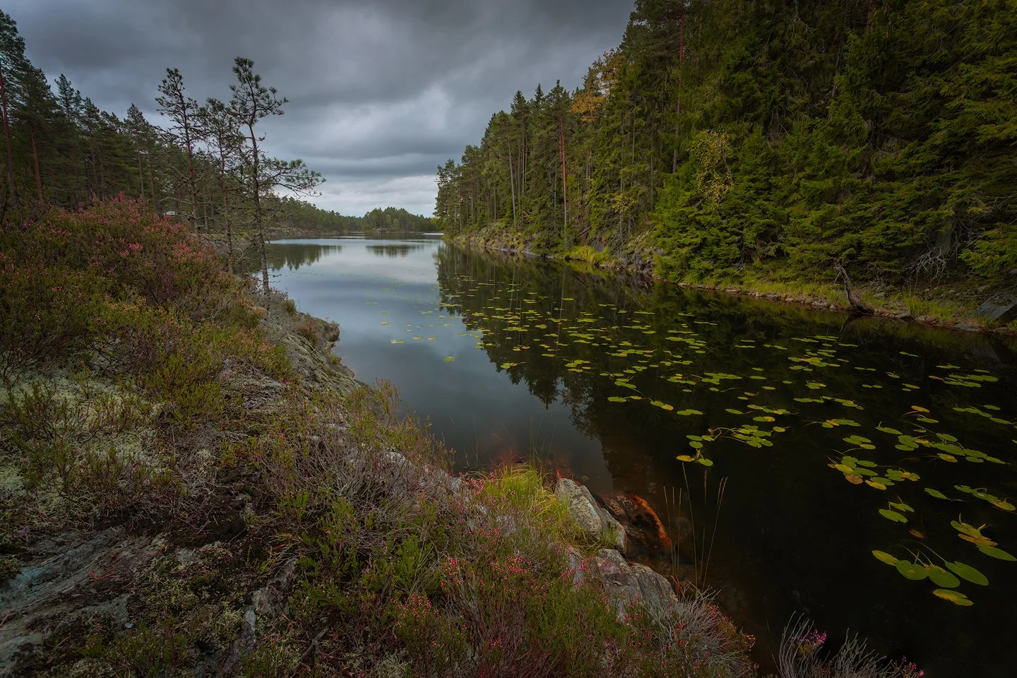 Tresticklan National Park, 2017