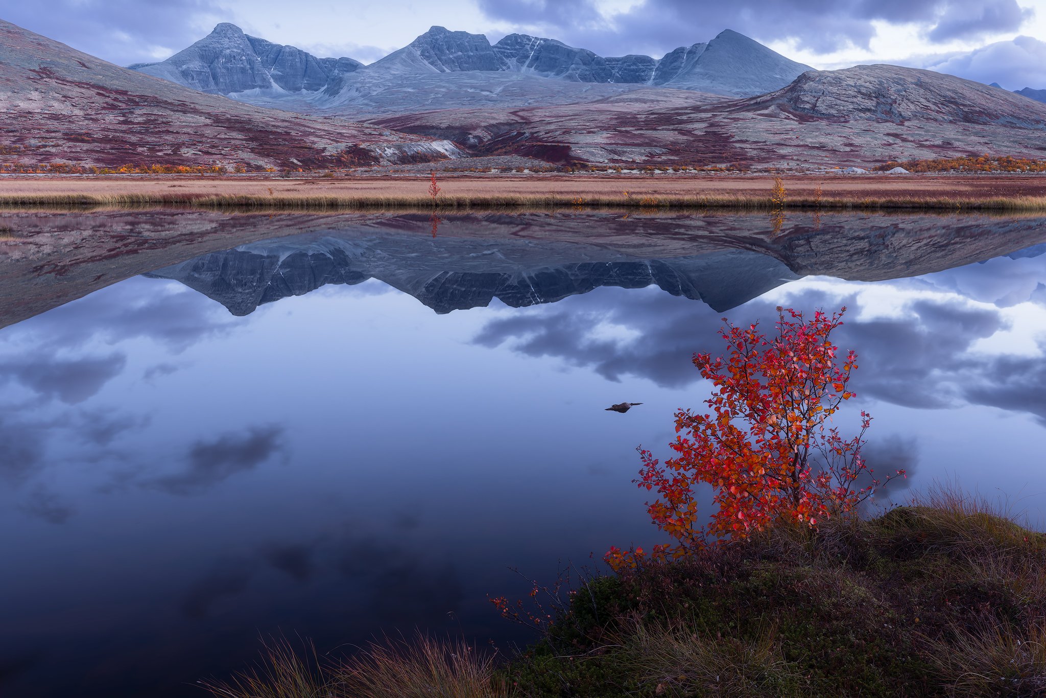 Dørålen, Rondane, 2026