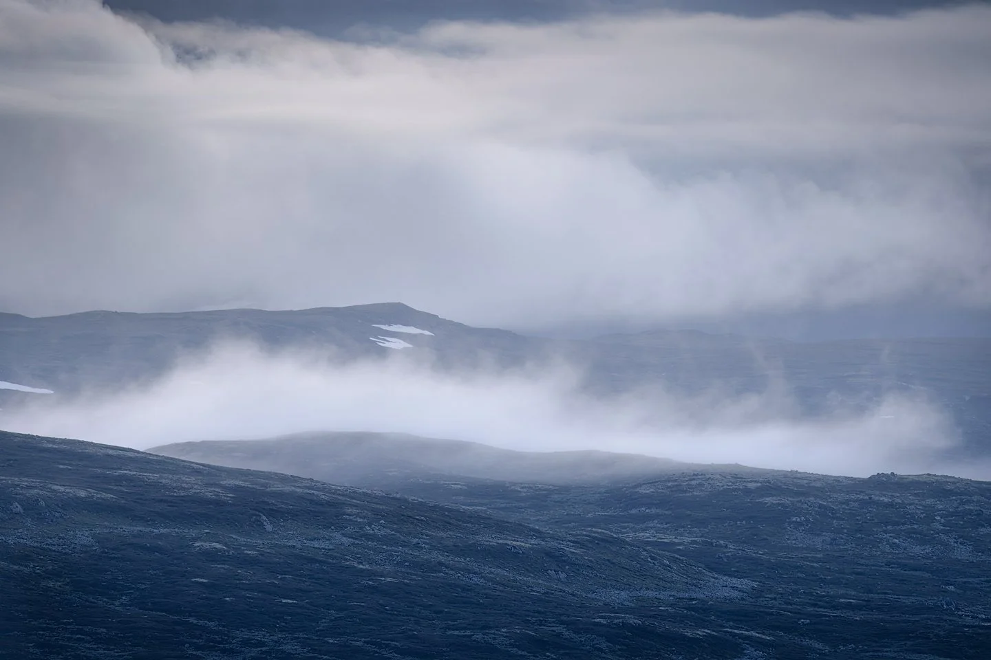 Fødalen, Ål, 2024