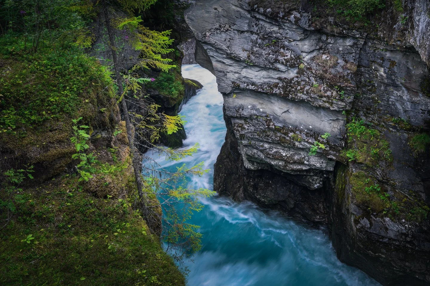 Gudbrandsjuvet, 2020 