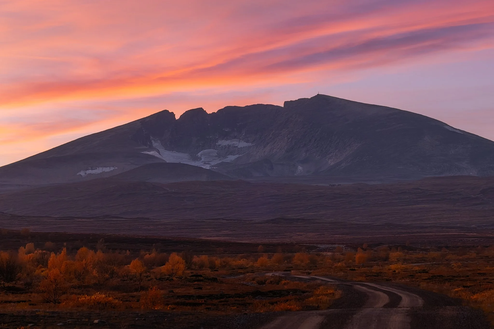 Dovrefjell, 2024