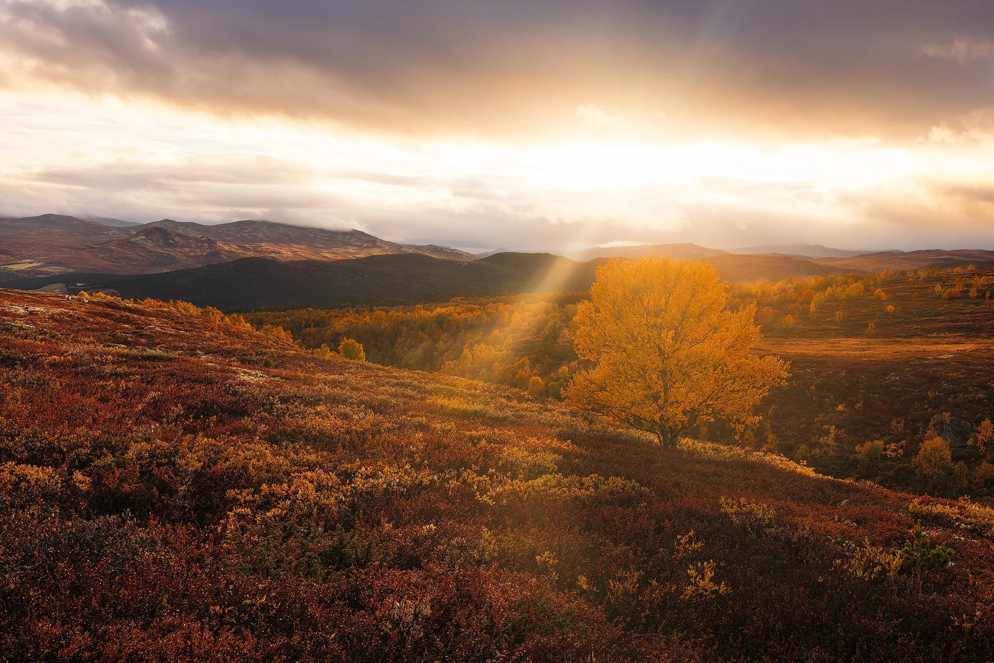Einunndalen, 2026