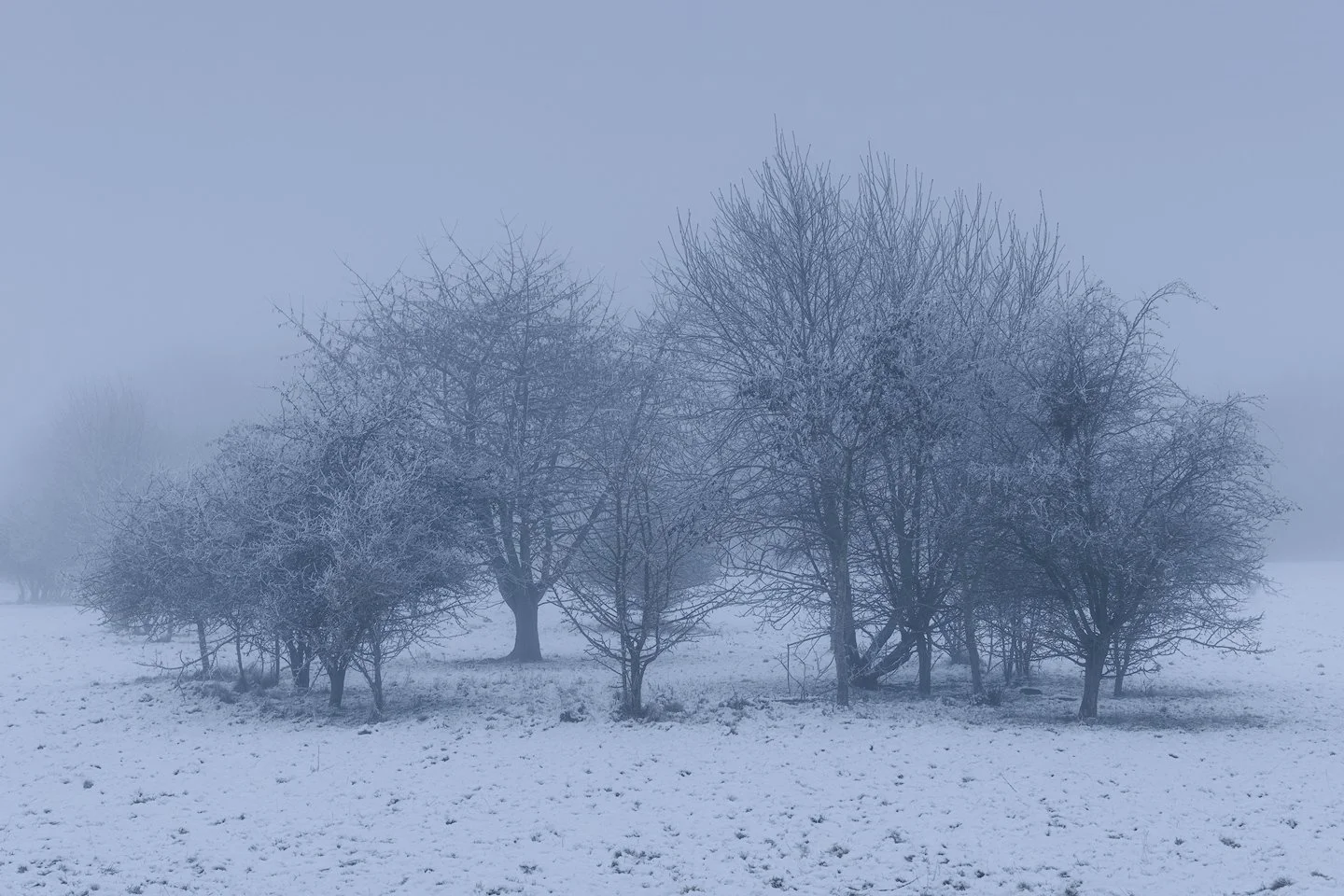 Utterselv Mose, Denmark