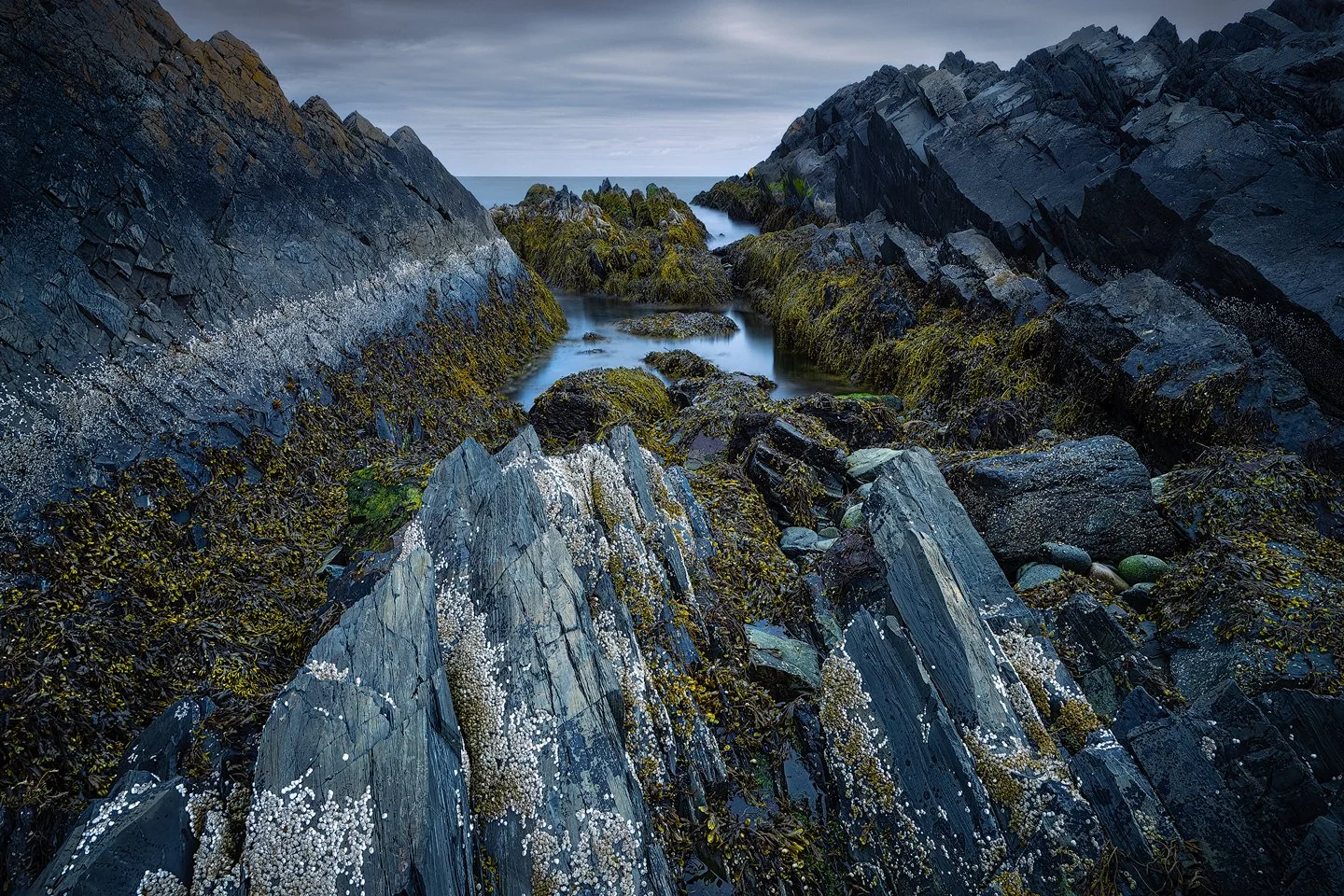 Varanger Peninsula, 2025