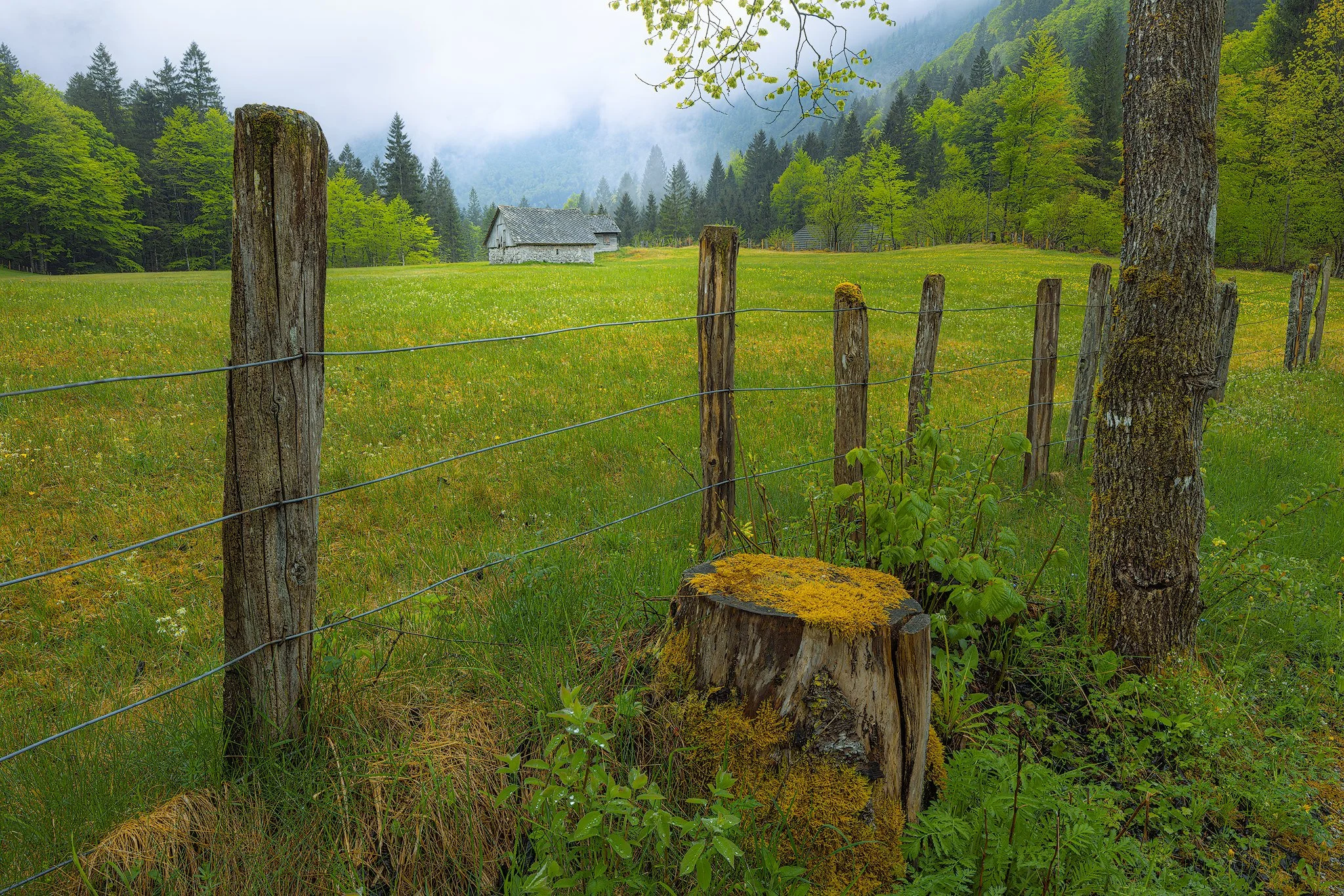 Kranjska Gora, Slovenia