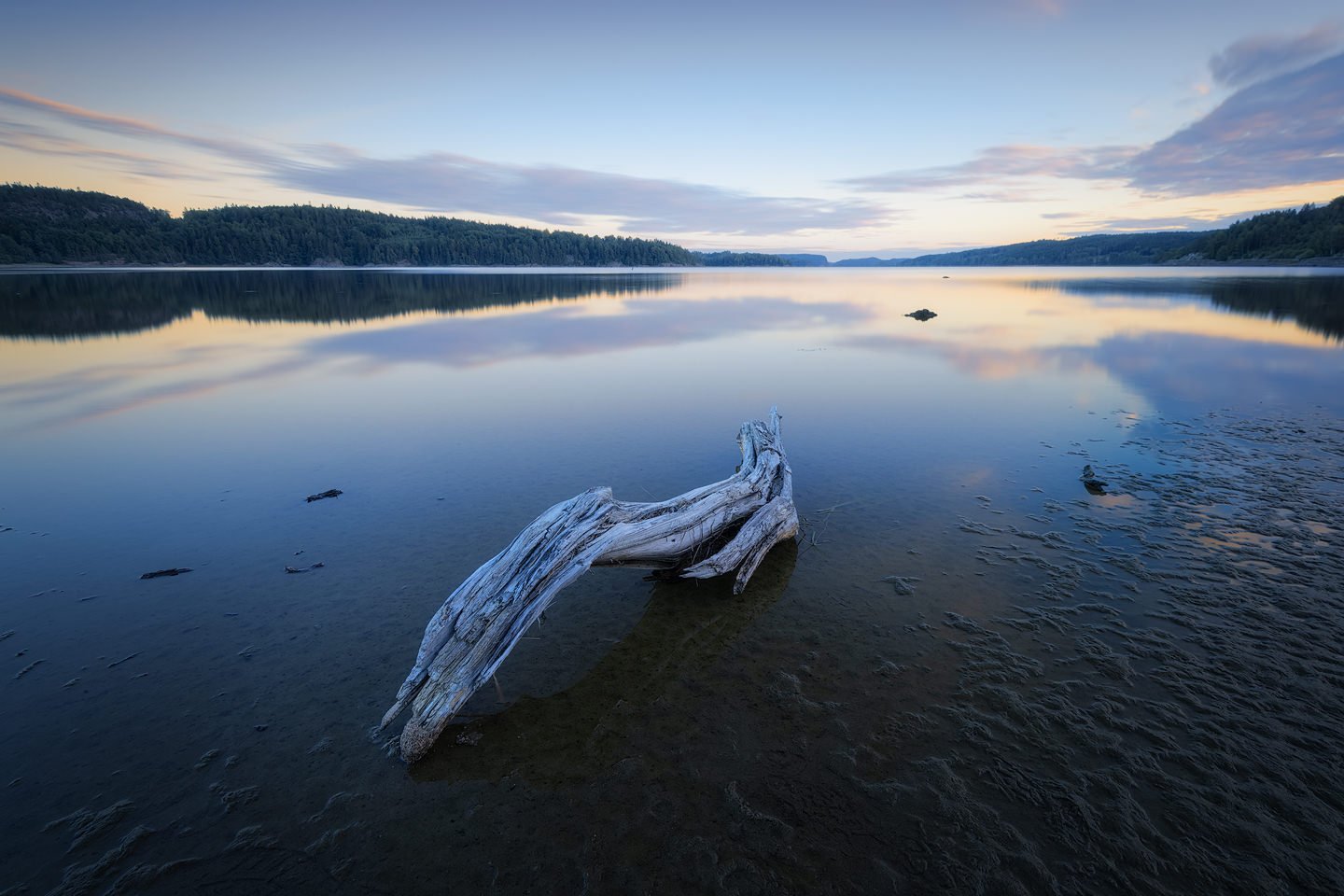 Kärnsjön, 2018