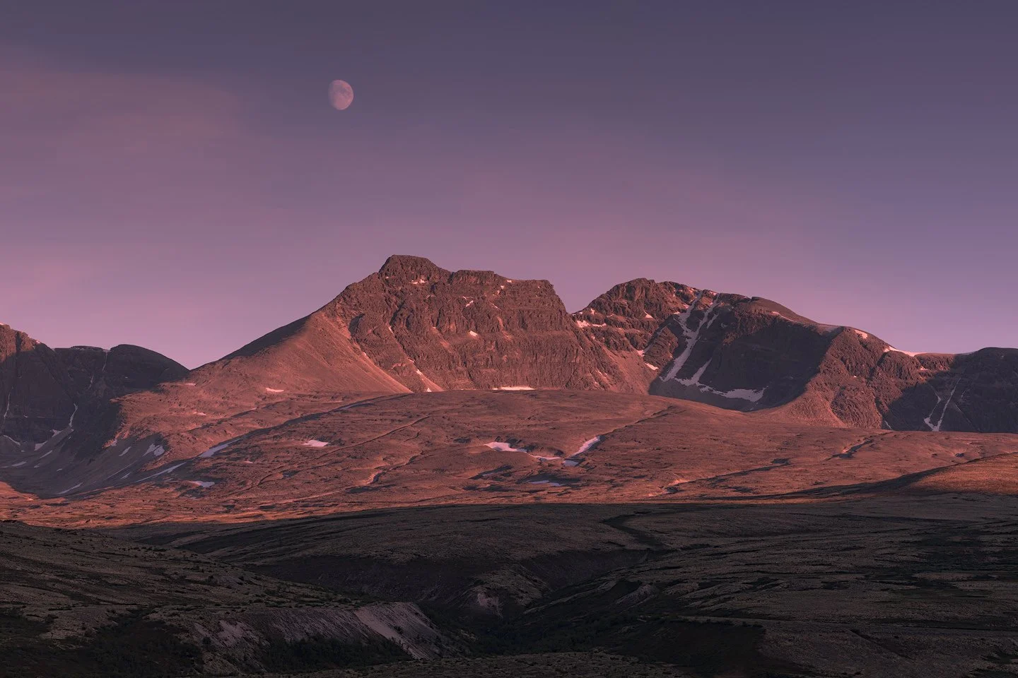 Dårølen, Rondane, 2019