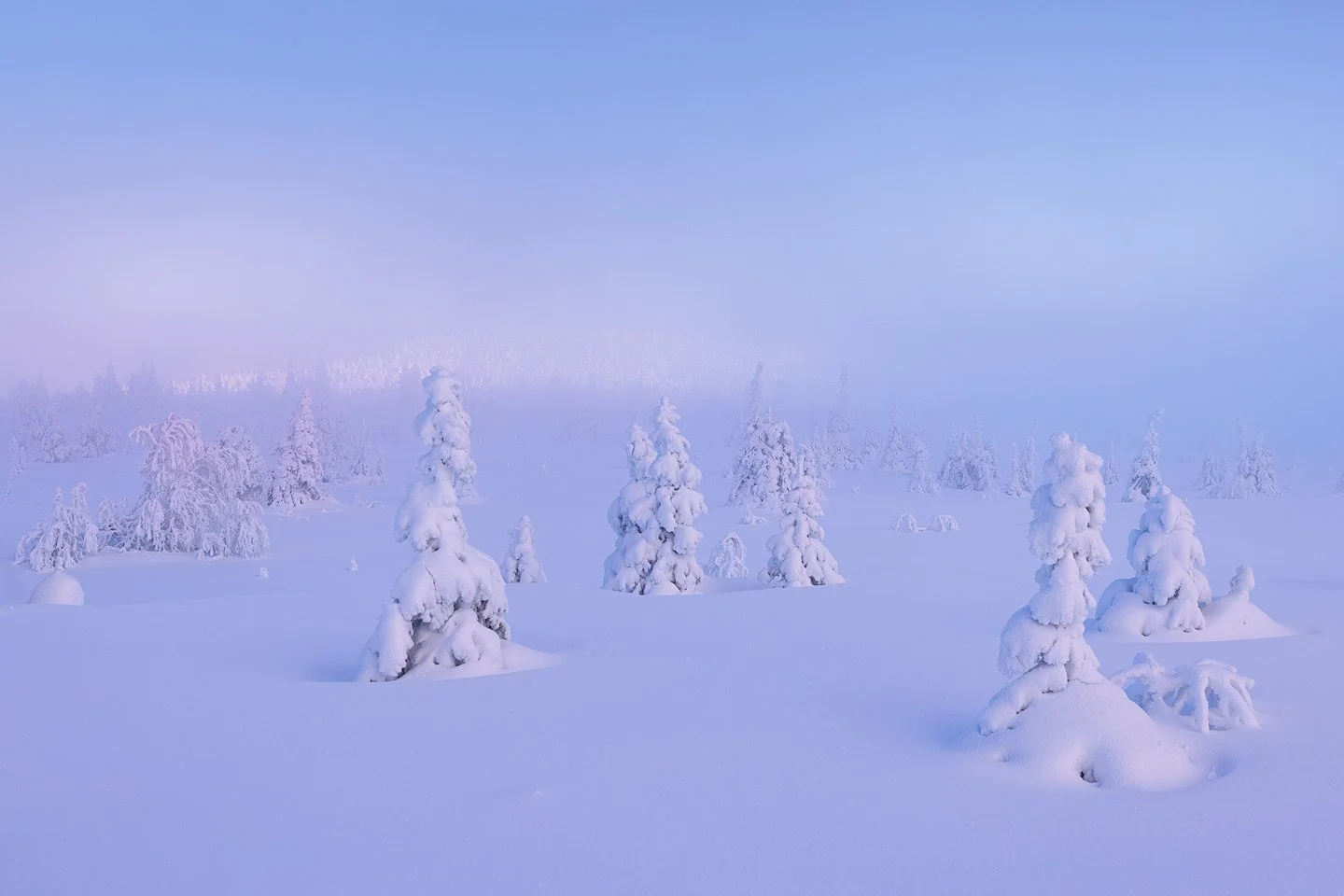 Riisitunturi National Park, 2025