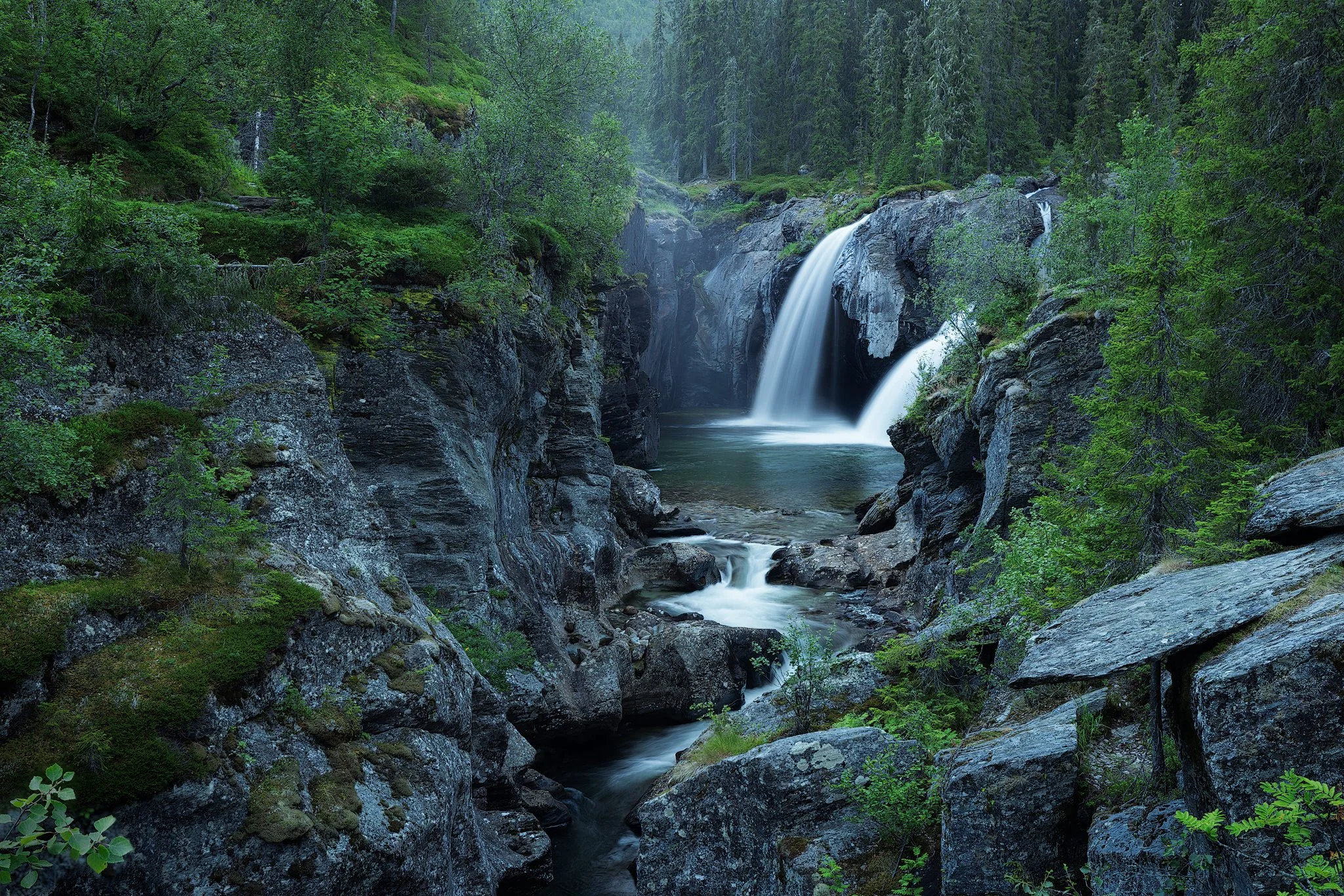 Rjukandefoss, 2026