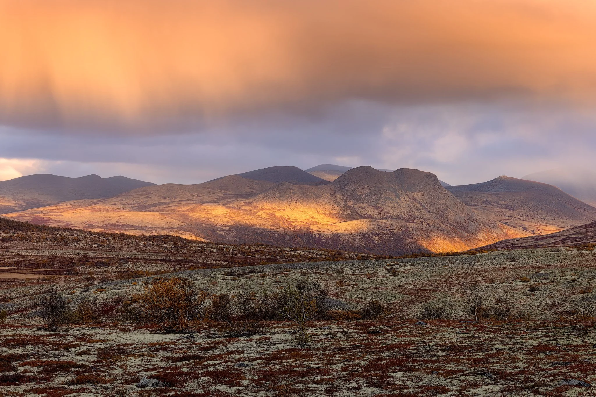 Rondane, 2026