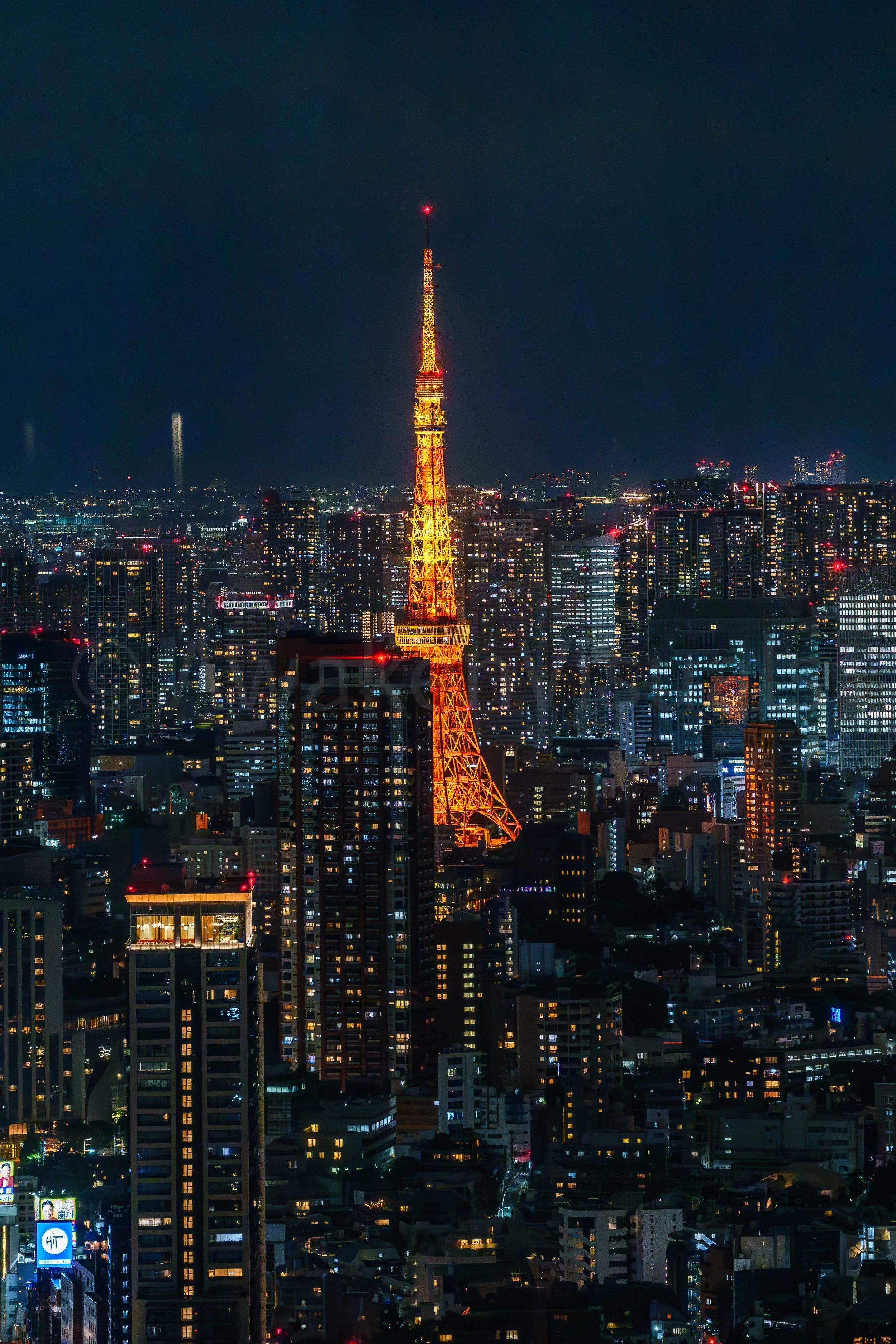 Awaken Visuals x Adventure-093.jpg